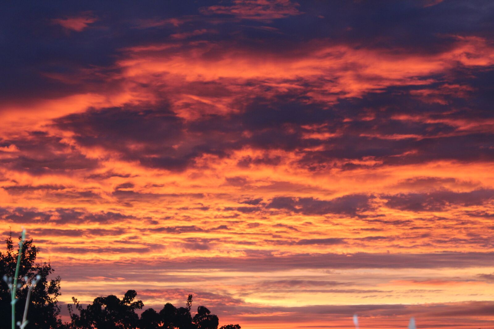 Canon EOS 1300D (EOS Rebel T6 / EOS Kiss X80) sample photo. Morgenrot, dawn, sunrise photography