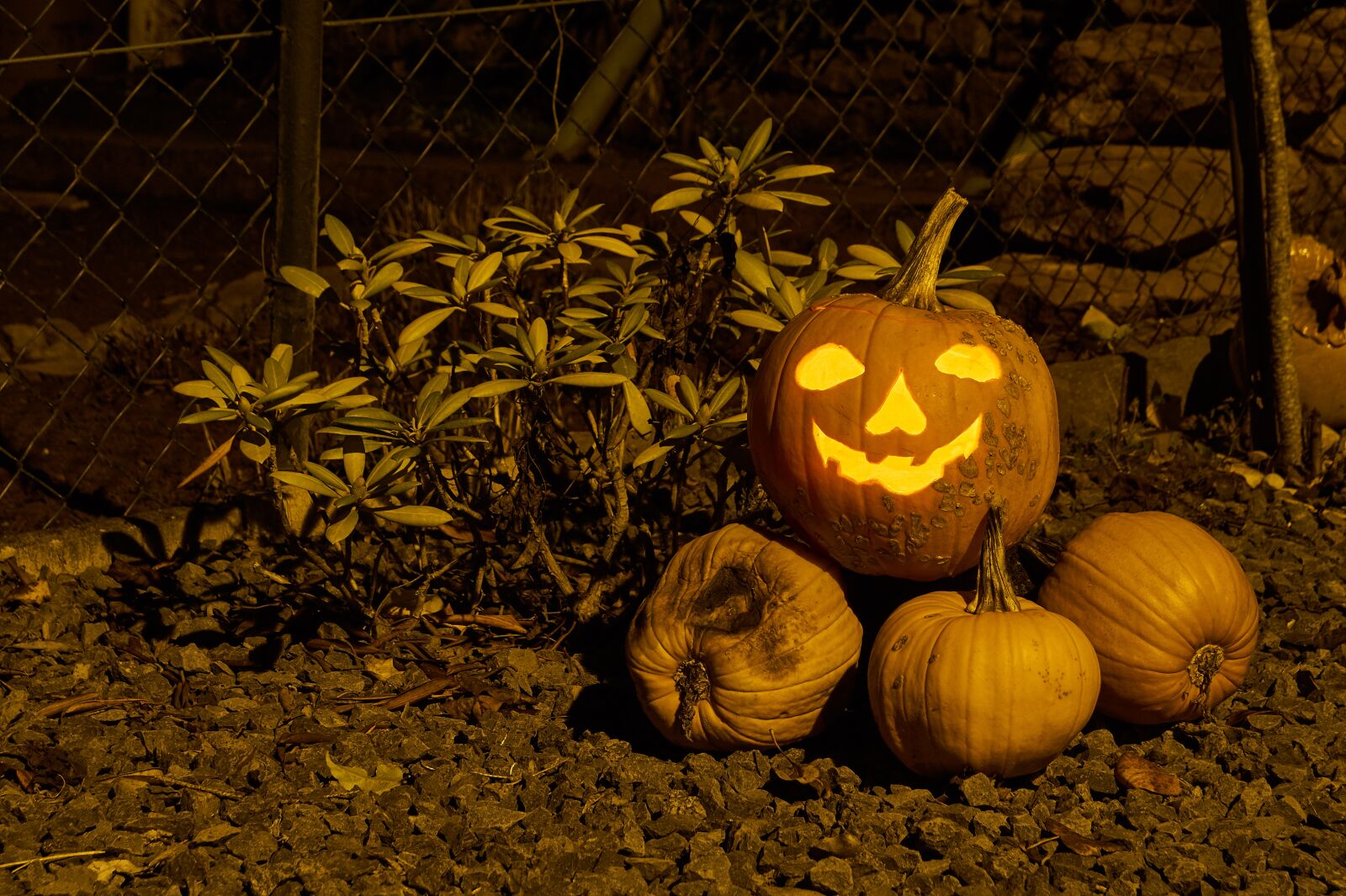 Sony DT 18-55mm F3.5-5.6 SAM II sample photo. Pumpkin, food, autumn photography