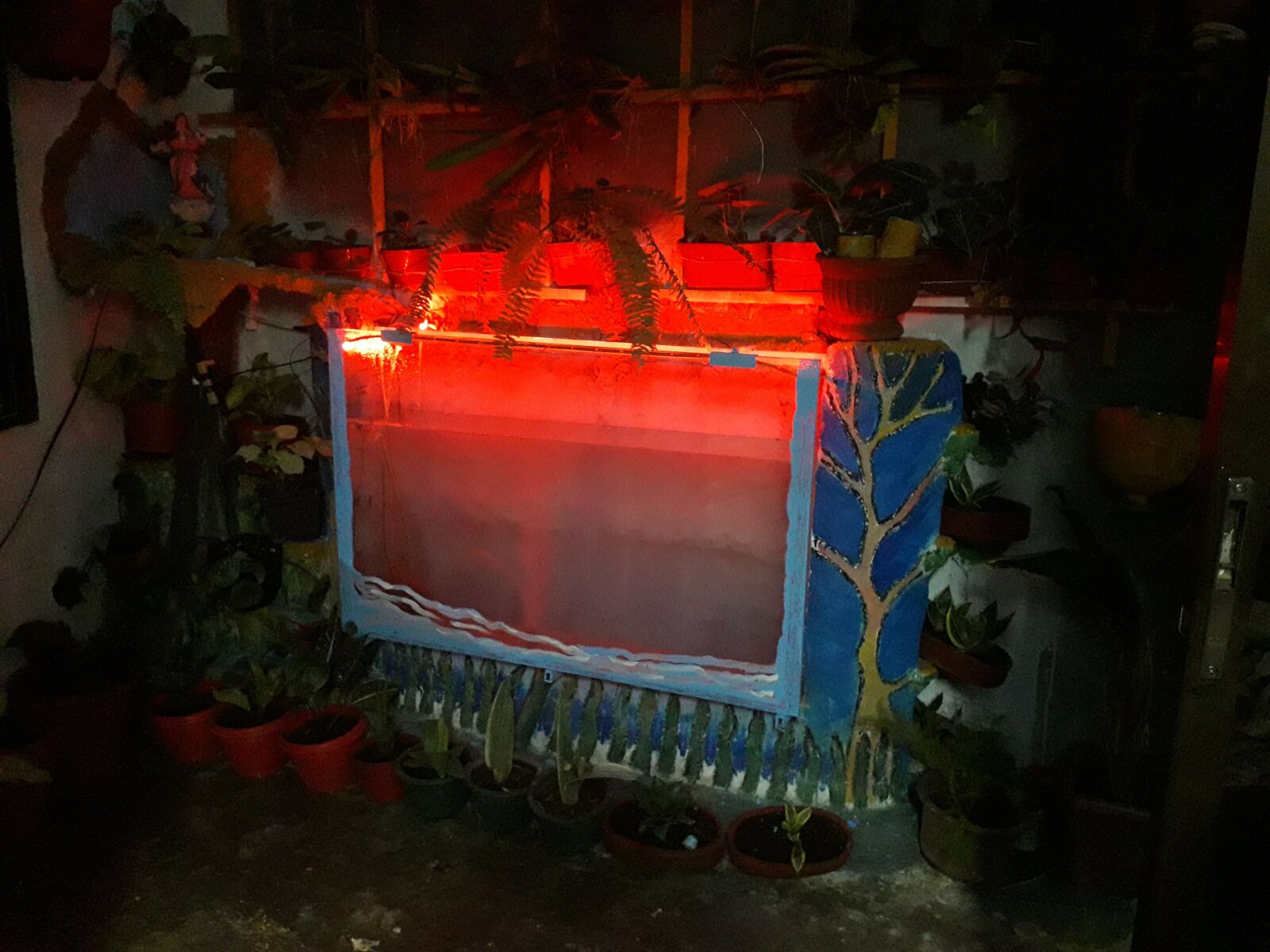 Samsung Galaxy J6 sample photo. Aquarium, fish, orange photography
