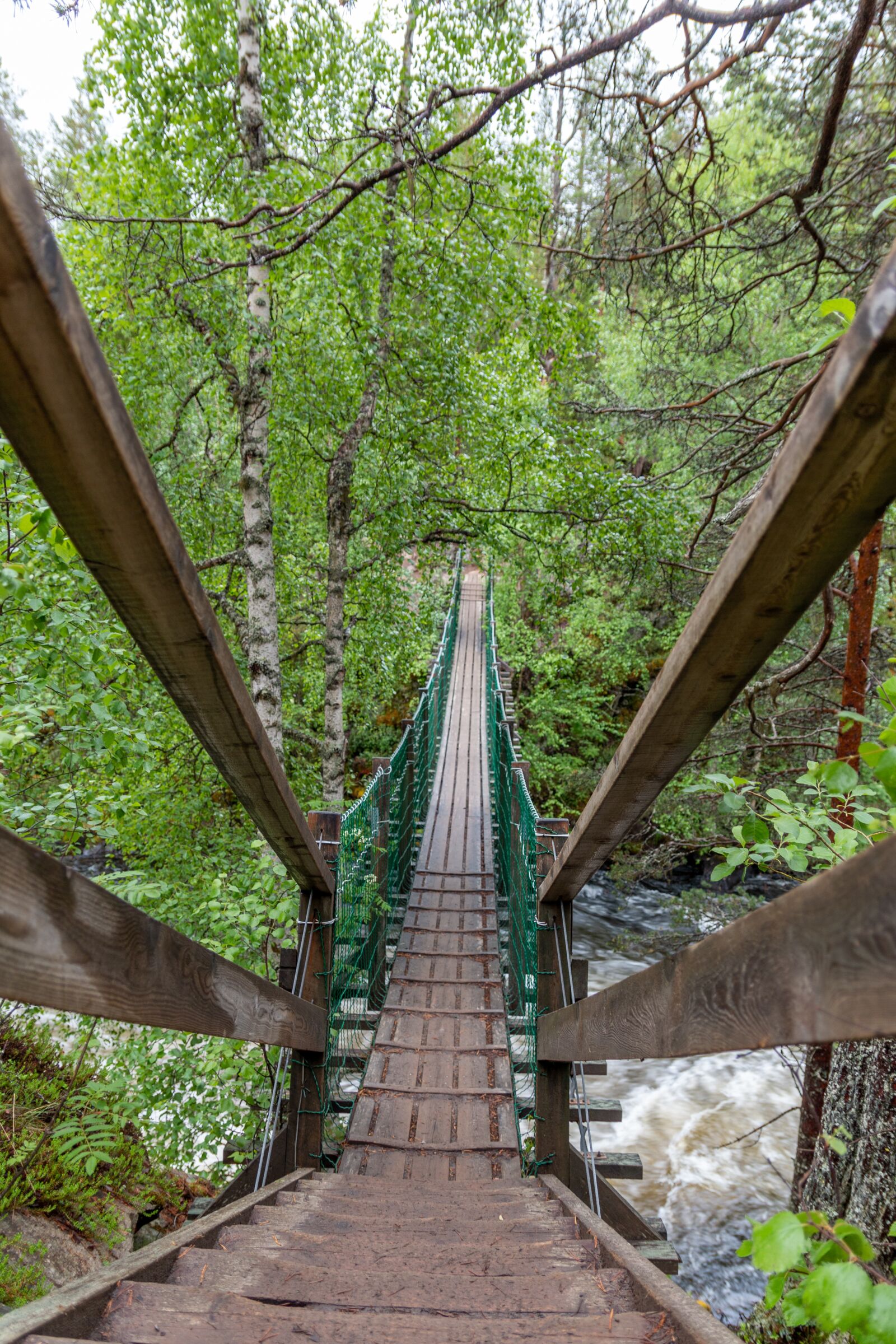 Canon EOS 70D sample photo. Finland, lapland, nature photography