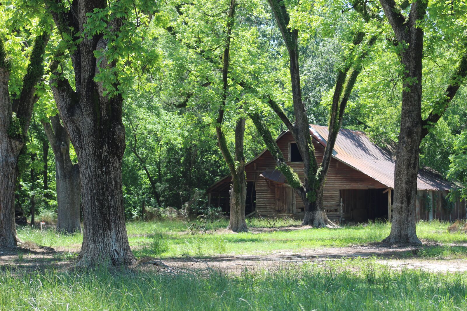 Canon EF75-300mm f/4-5.6 sample photo. Barn, building, old photography