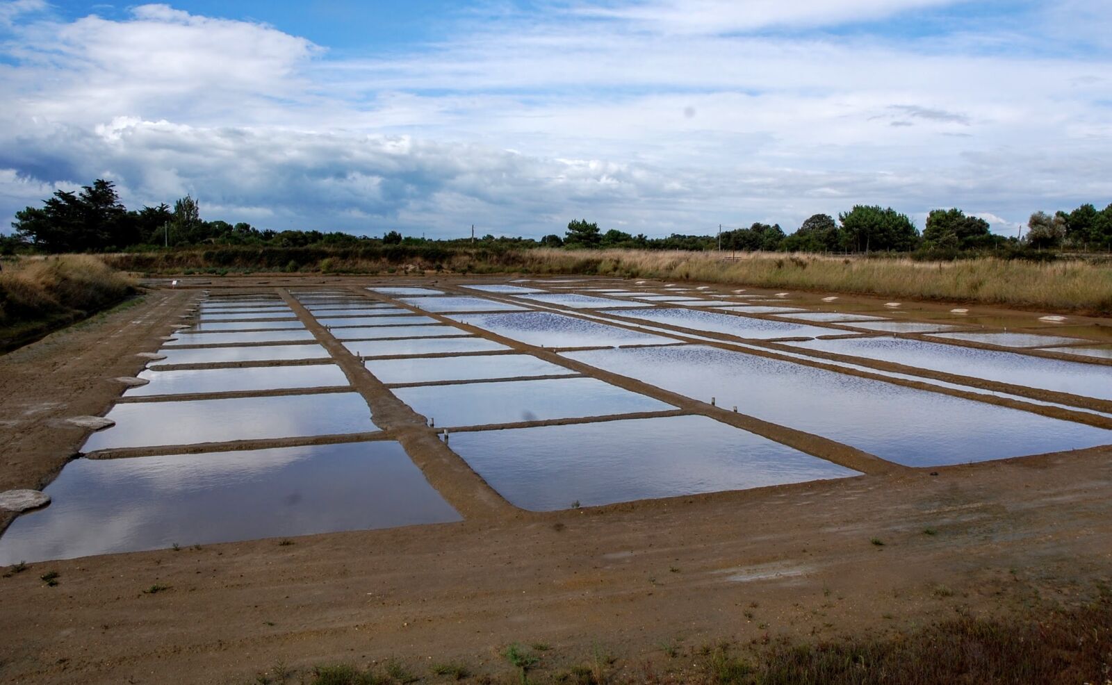 Nikon D40 sample photo. Marsh, saline, water photography