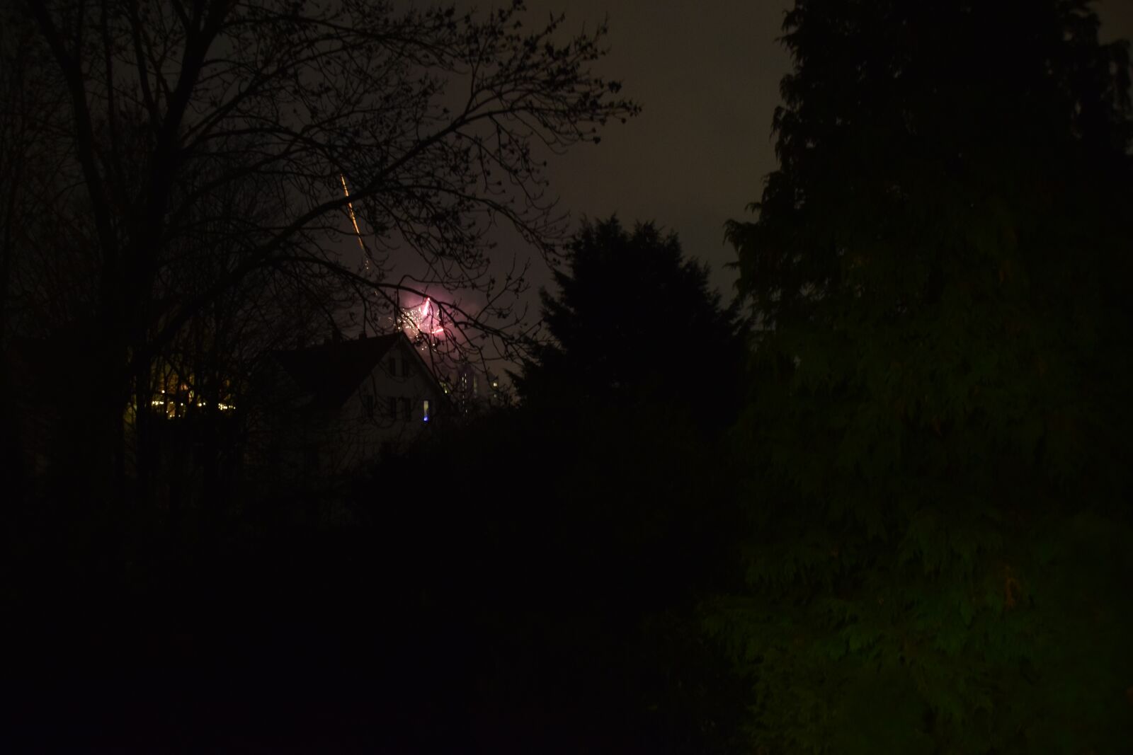 Nikon D5300 sample photo. Night, new year under photography