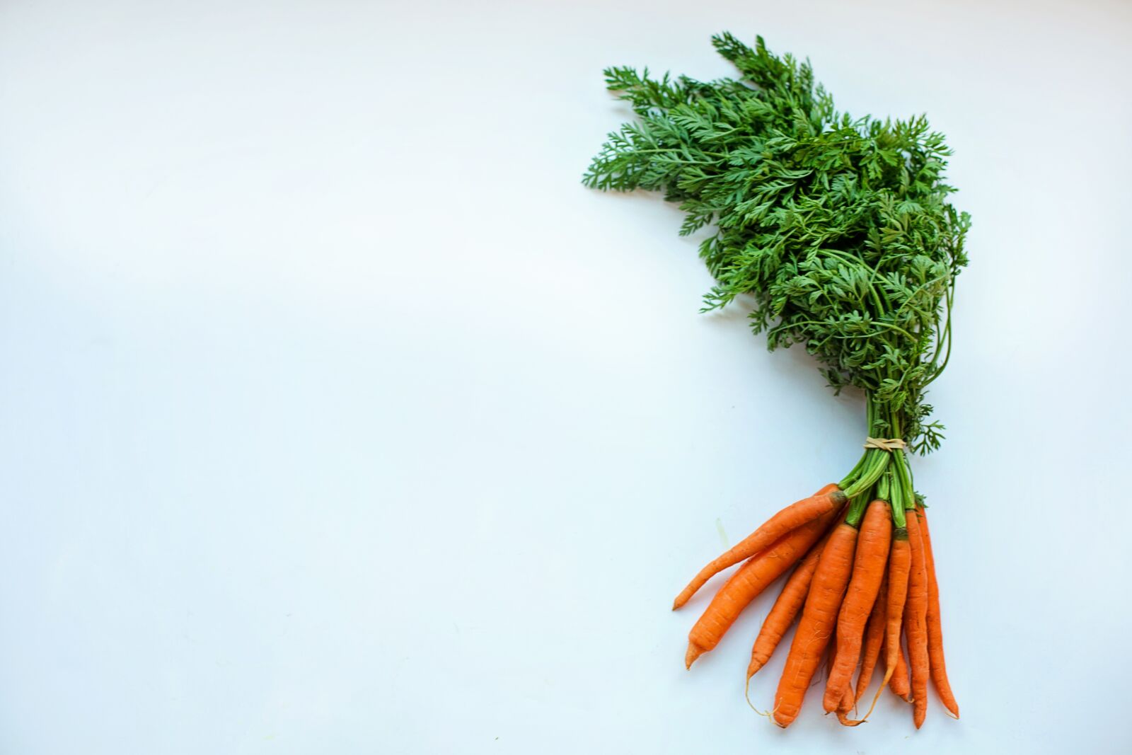 Canon EF 50mm F1.4 USM sample photo. Carrots, food, healthy photography