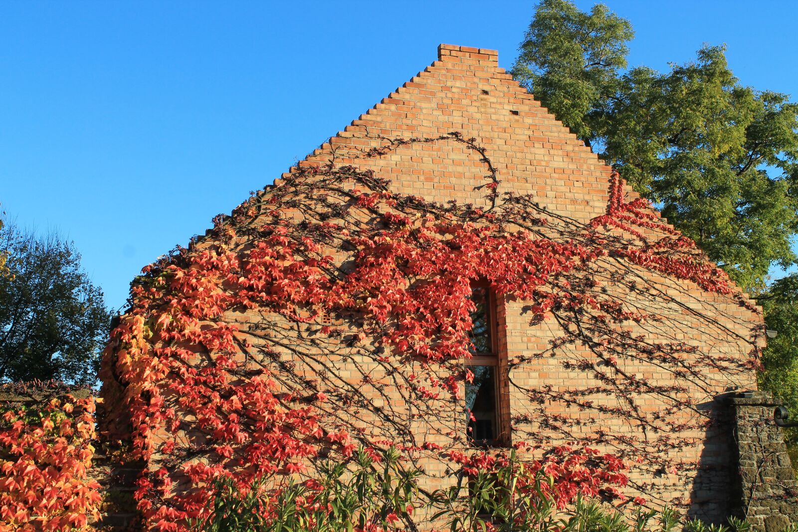 Canon EOS 1100D (EOS Rebel T3 / EOS Kiss X50) sample photo. Autumn, lake balaton, leaves photography