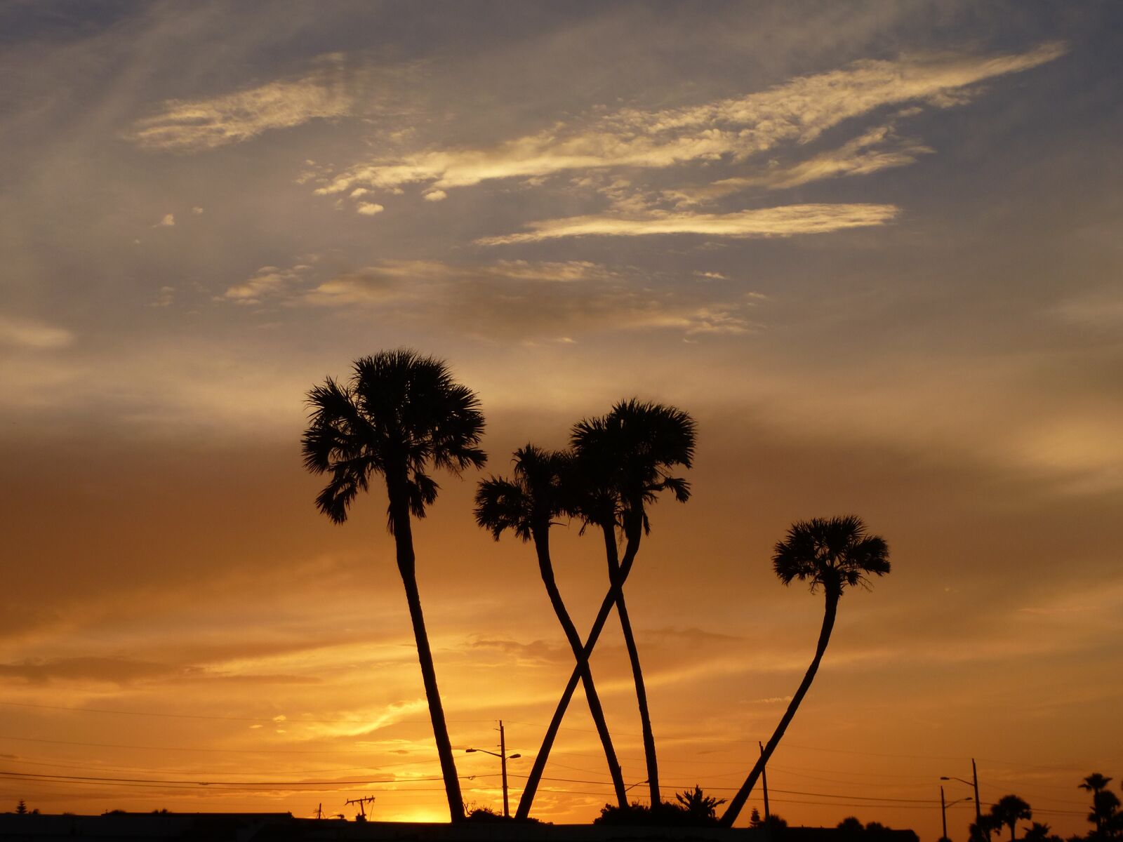 Panasonic Lumix DMC-ZS15 (Lumix DMC-TZ25) sample photo. Sunset, palm trees, sun photography