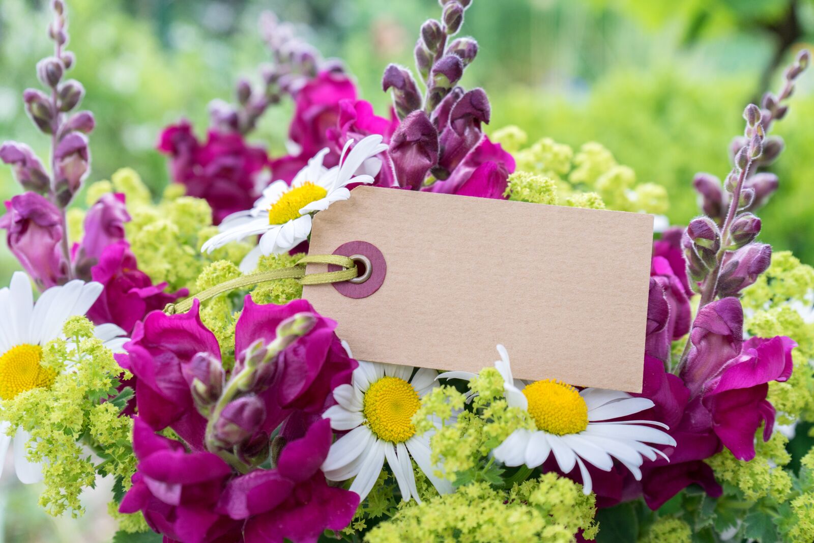 Sony a7 II + Sony FE 28-70mm F3.5-5.6 OSS sample photo. Bouquet, map, message photography