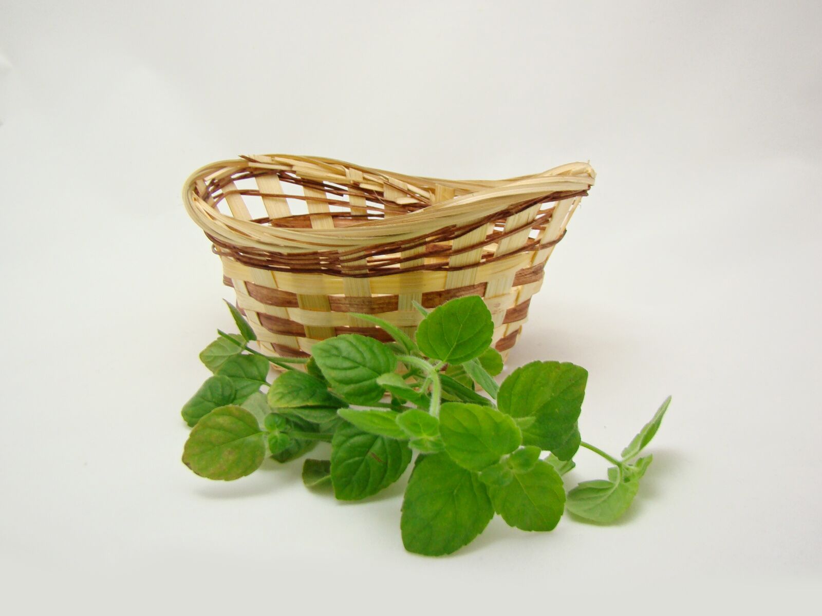 Sony DSC-H7 sample photo. Basket, green, nature photography