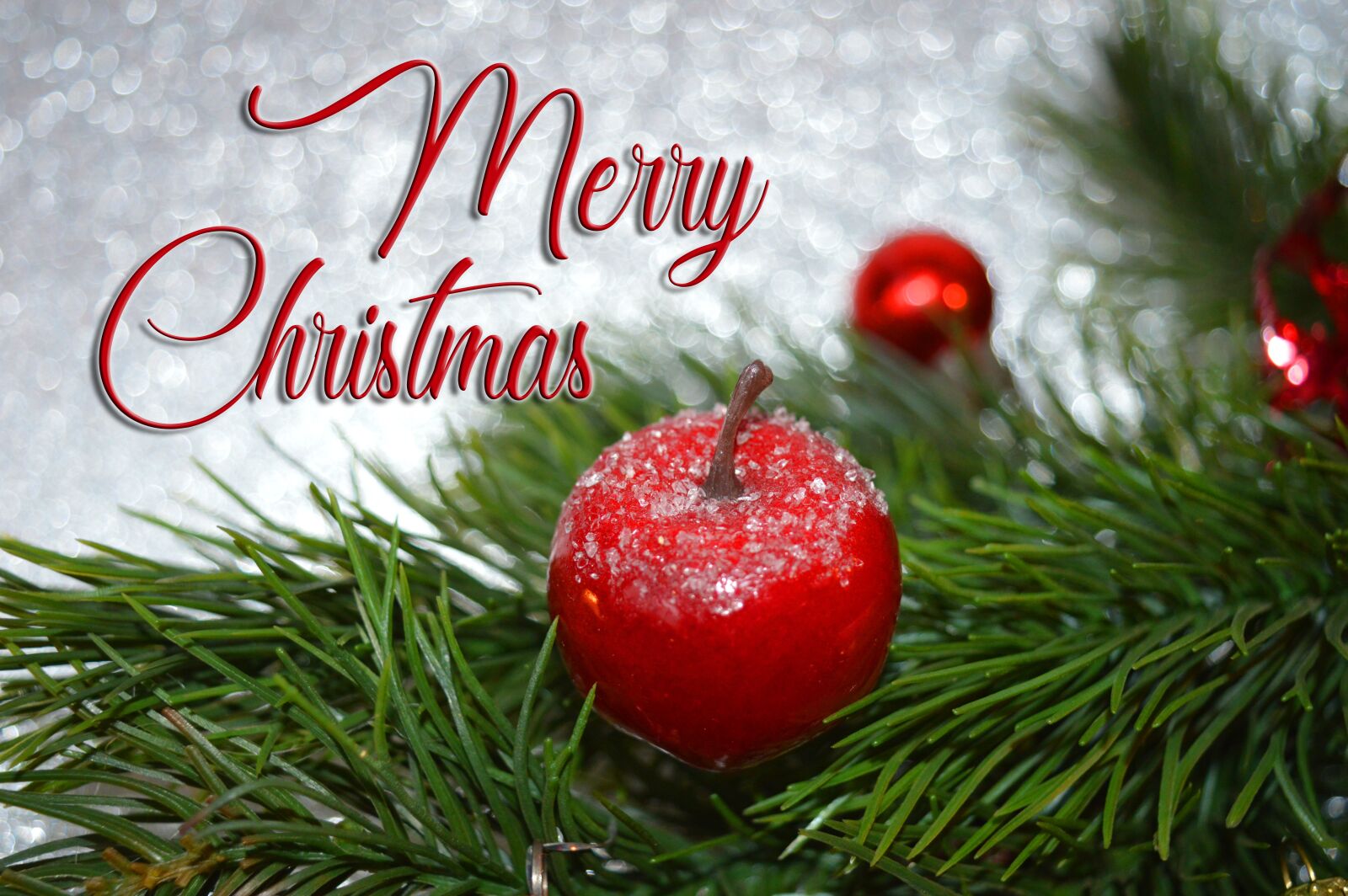 Nikon D3200 sample photo. Christmas motif, merry christmas photography