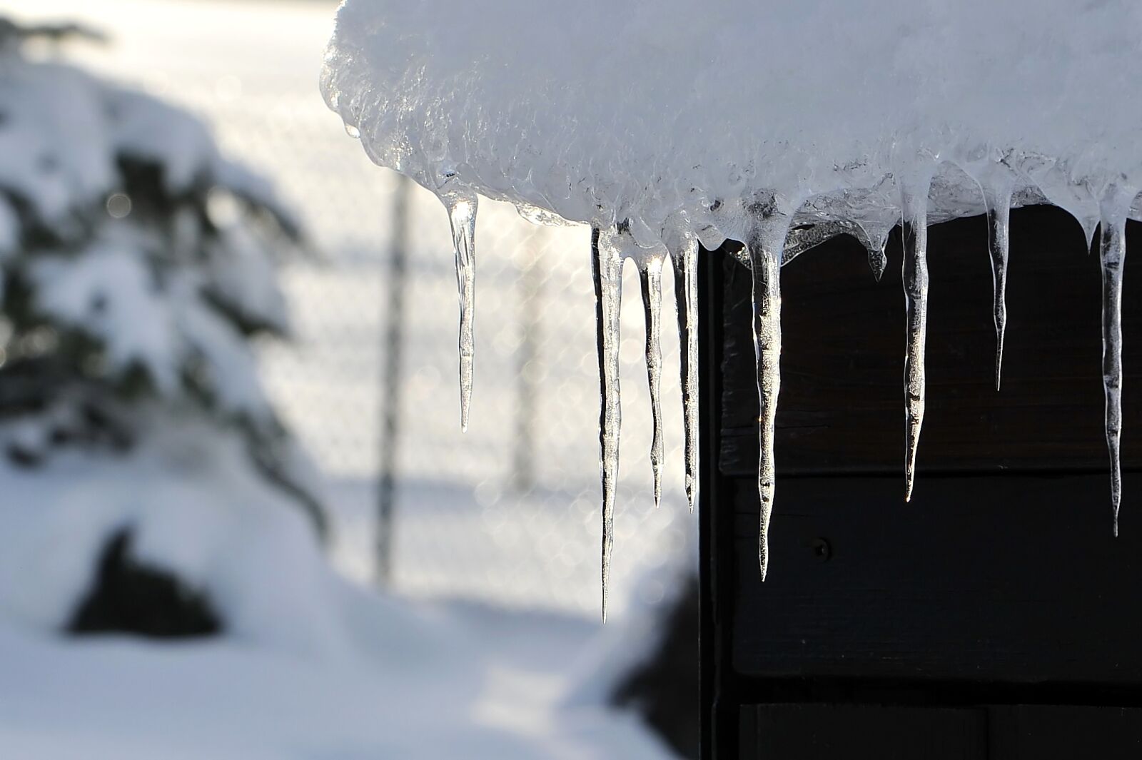 Nikon D700 sample photo. Snow, icicle, winter photography