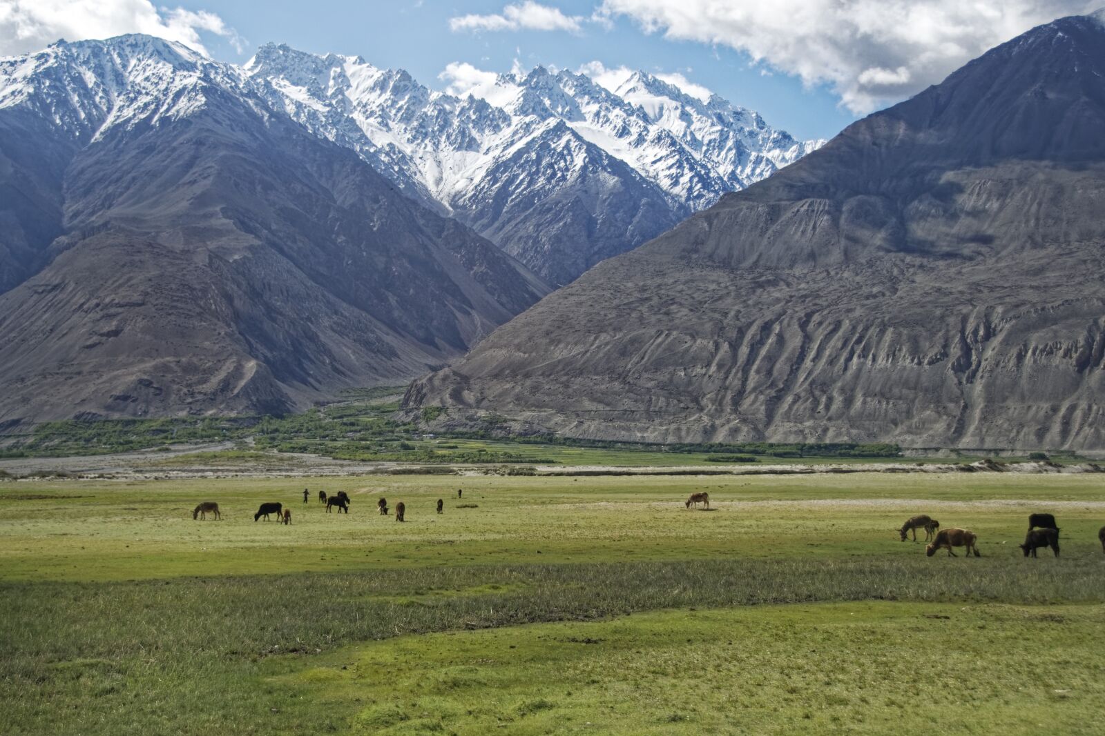 Nikon D500 sample photo. Tajikistan, province of mountain-badakhshan photography