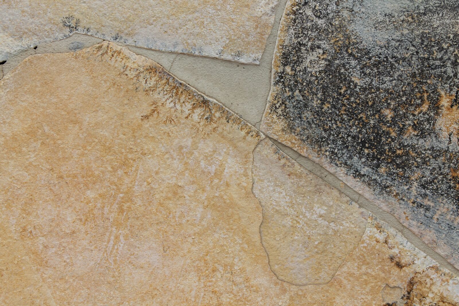 Canon EOS 1100D (EOS Rebel T3 / EOS Kiss X50) sample photo. Texture, rock, nature photography