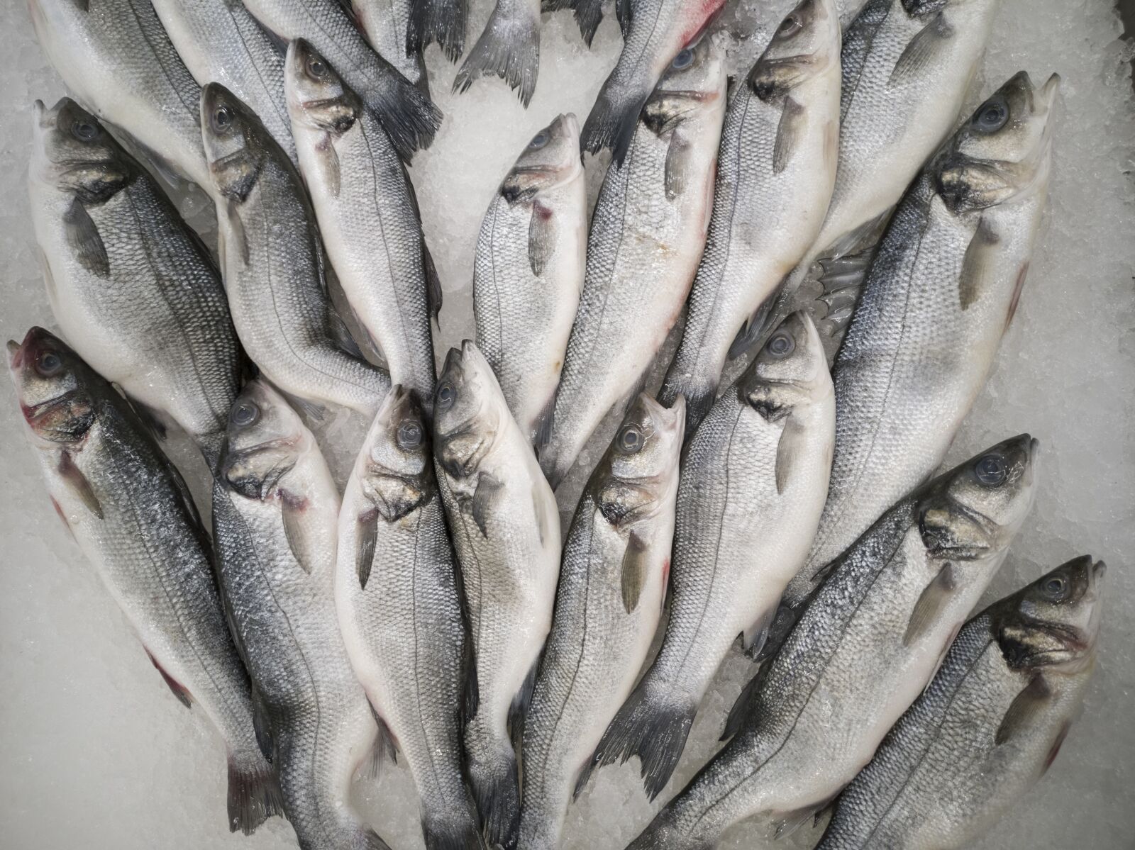 HUAWEI CLT-L09 sample photo. Fish, fresh, food photography