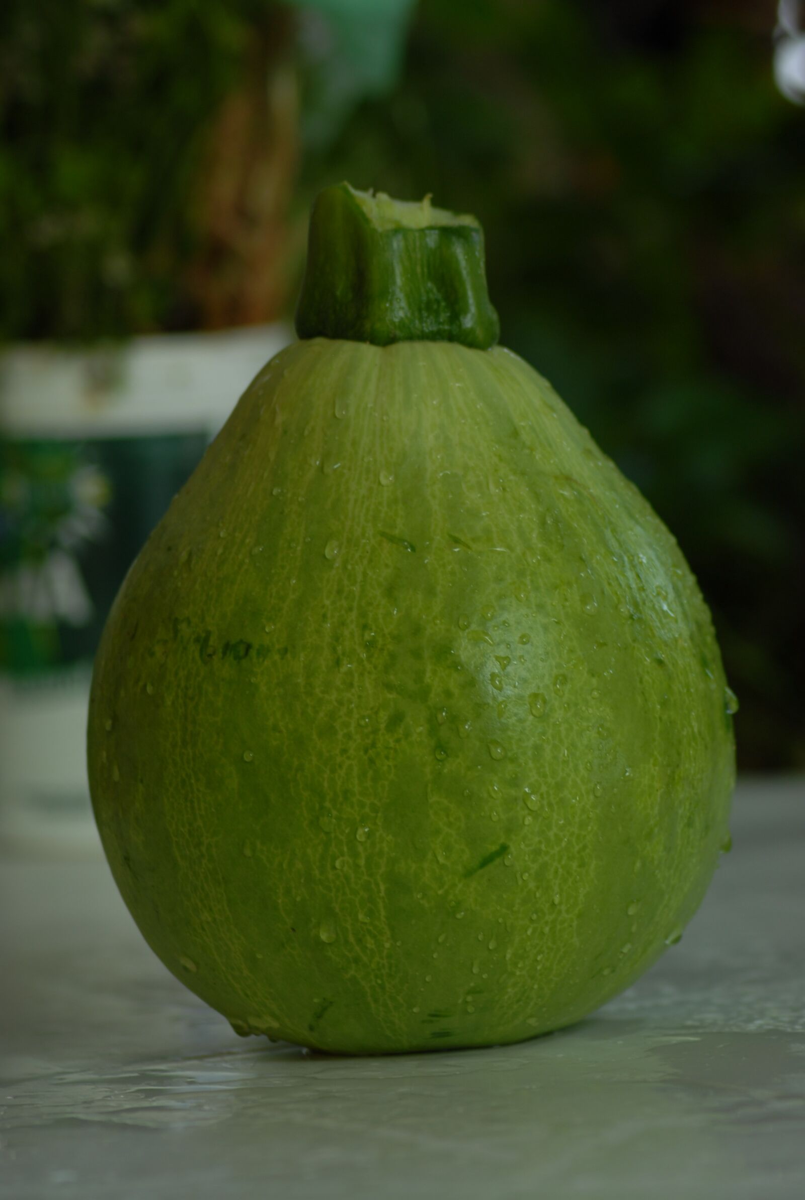 Nikon D200 sample photo. Flora, wild, pumpkin photography