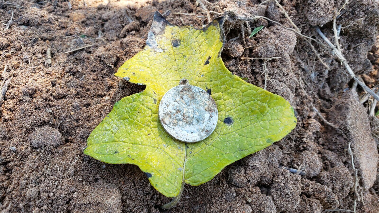 Samsung Galaxy S9 sample photo. Detectorismo, detectorista, medal photography