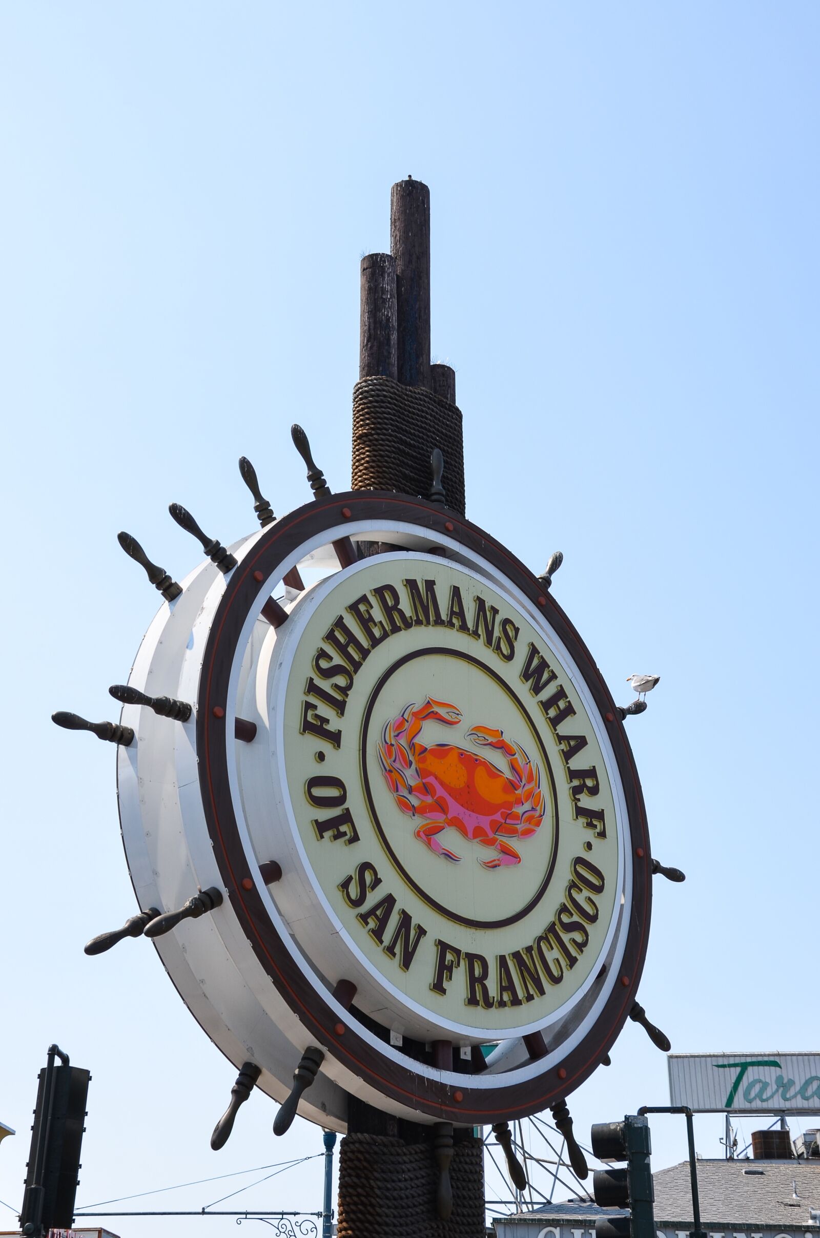 Nikon D5100 sample photo. Fishermans wharf, usa, america photography