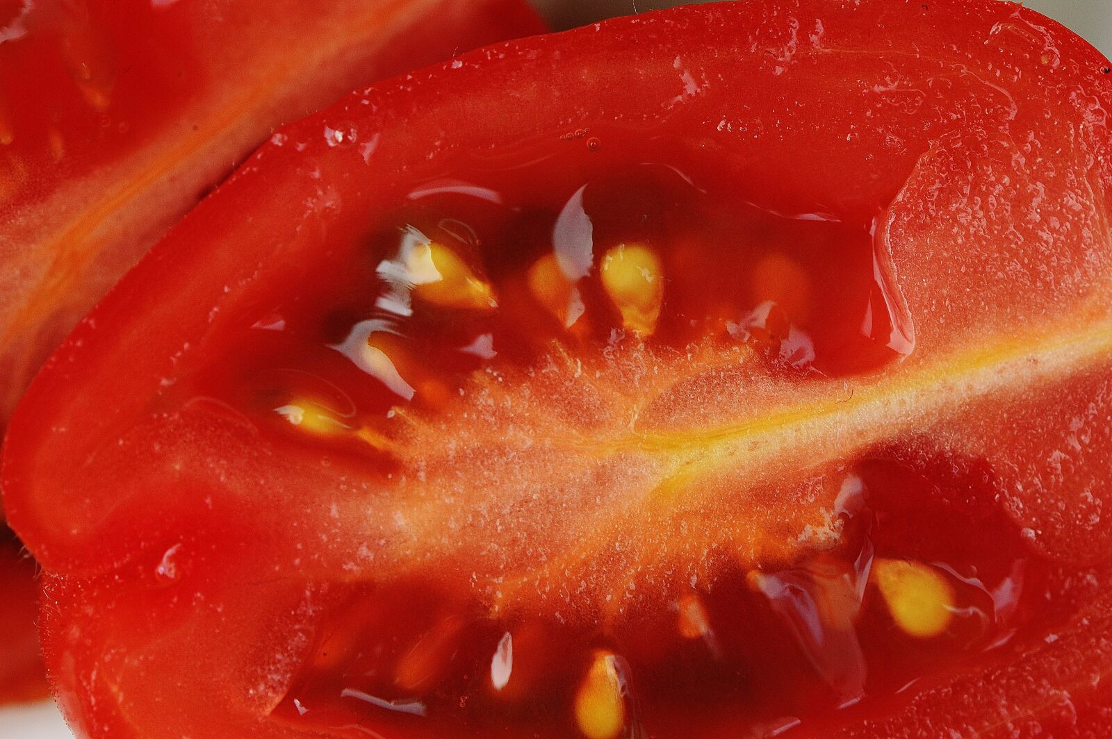 Nikon D3200 sample photo. Tomatoes, sliced, vegetables photography