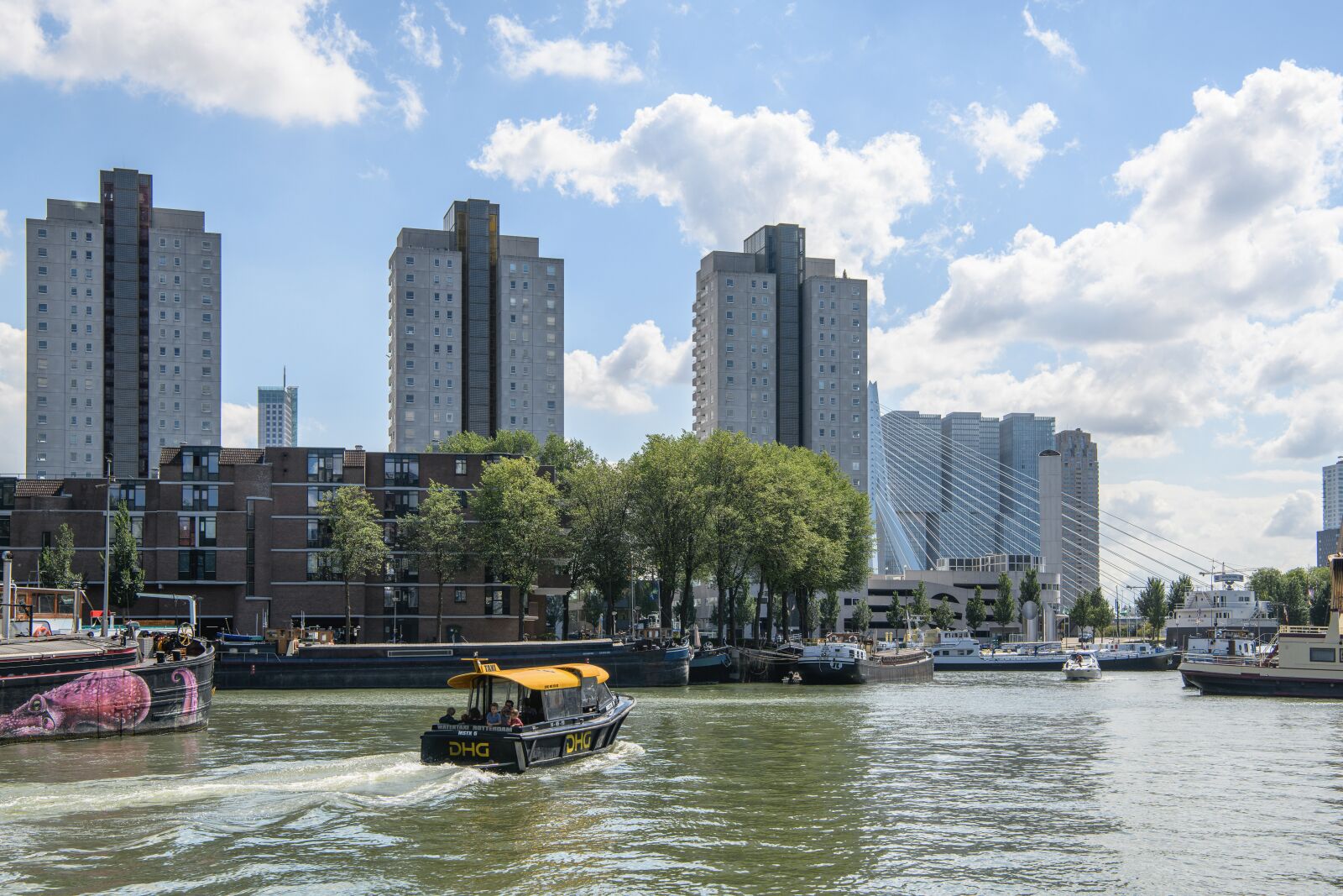 Nikon D850 sample photo. Rotterdam, city, port photography