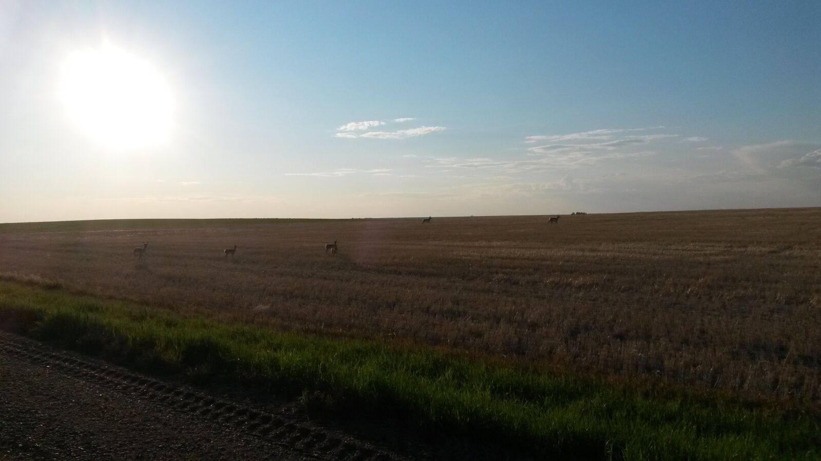 Samsung Galaxy S4 Mini sample photo. Prairie, saskatchewan, canada photography