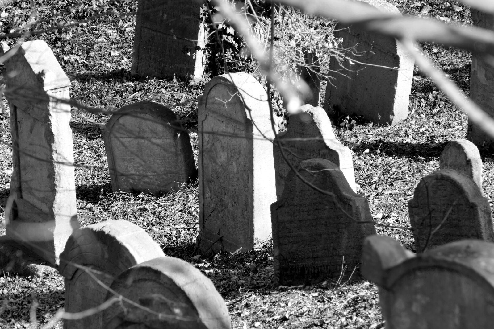 Panasonic Lumix DMC-FZ1000 sample photo. Jewish, cemetery, tombstone photography