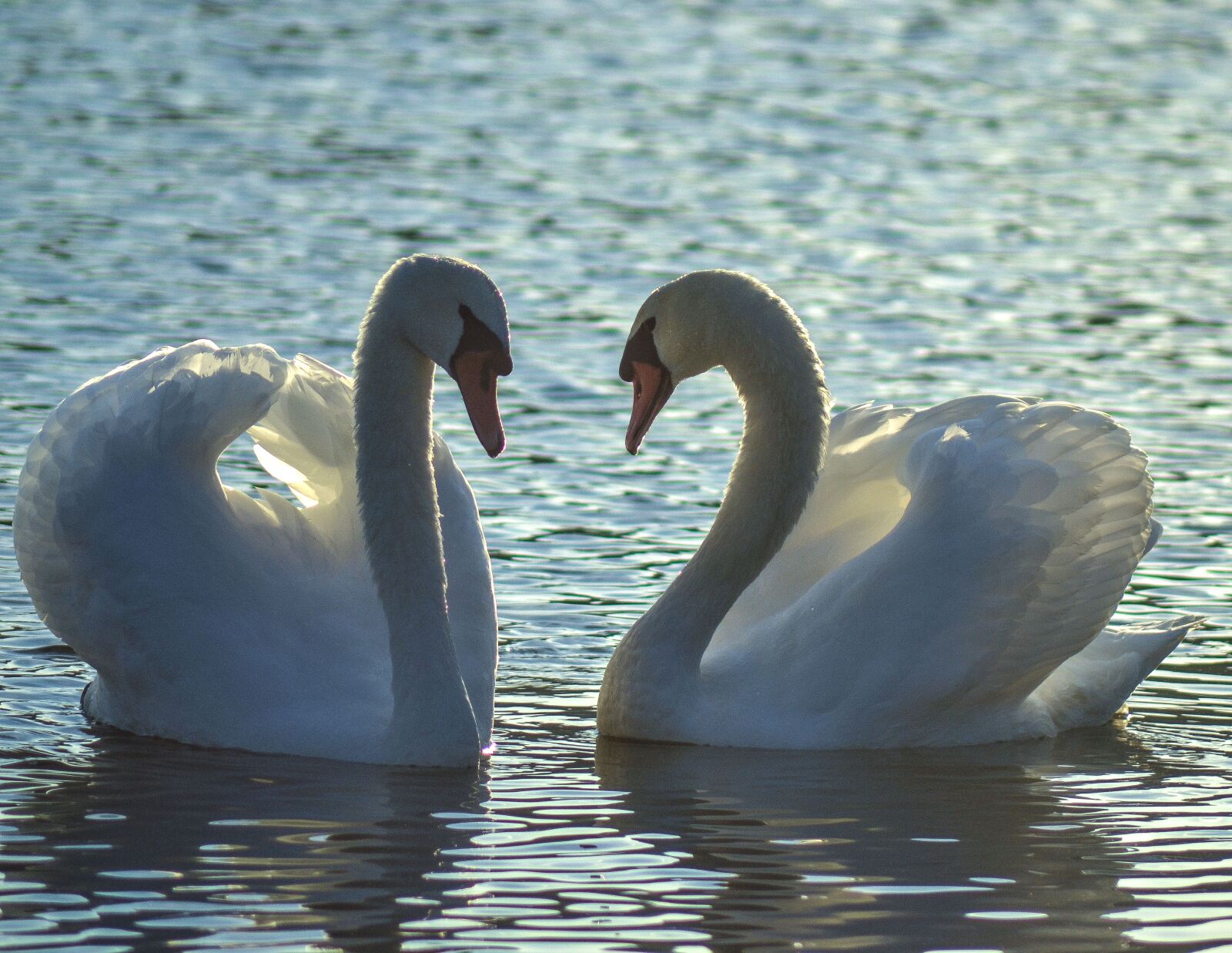 Nikon D3100 sample photo. Waters, nature, lake photography