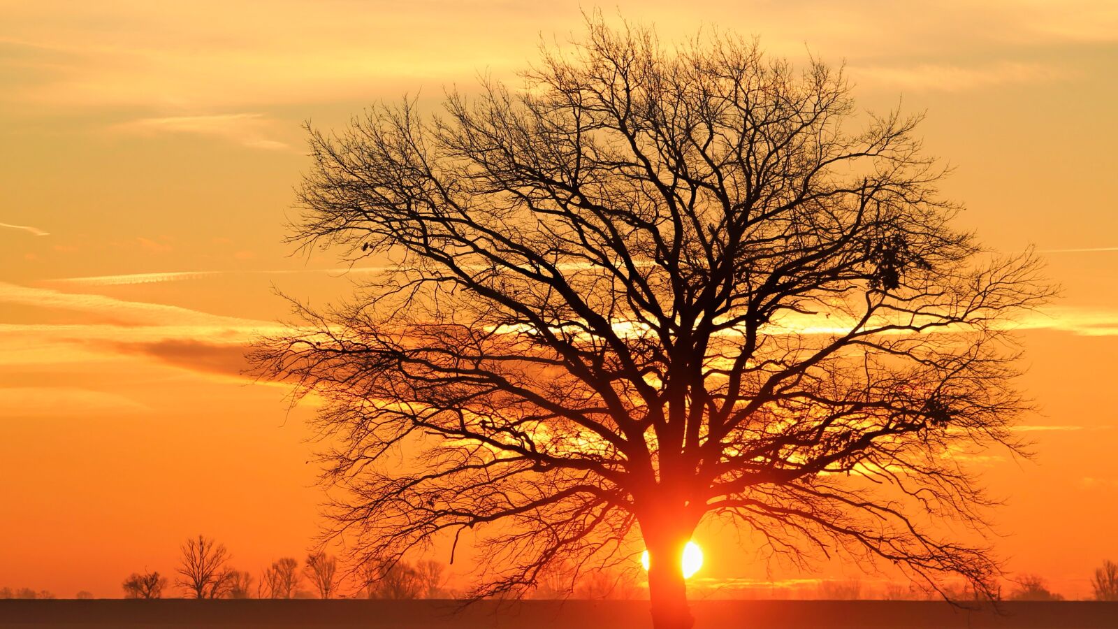 Canon EF-S 55-250mm F4-5.6 IS STM sample photo. Landscape, sunset, twilight photography