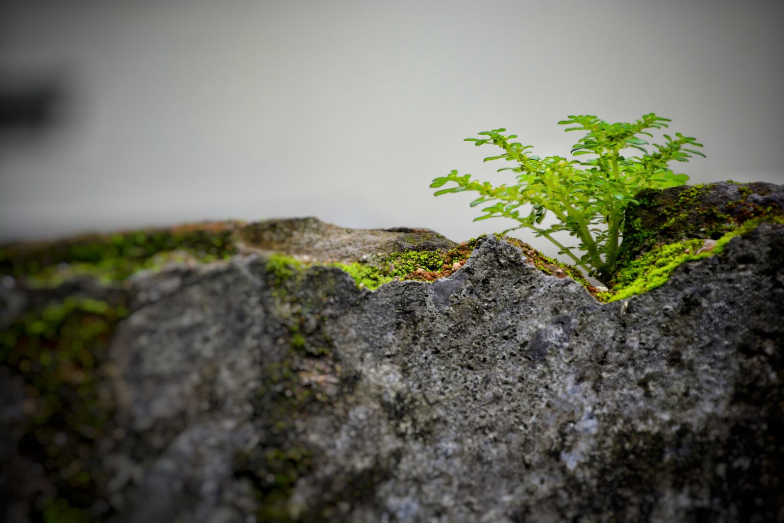 Nikon D7100 sample photo. Nature, rock, outdoor photography
