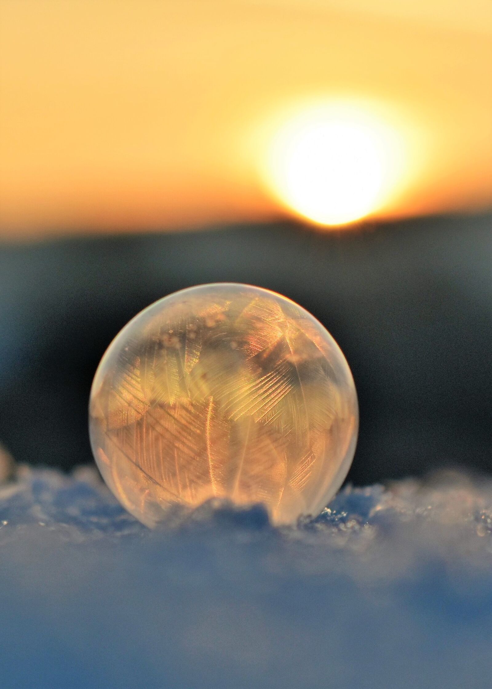 Nikon D5500 sample photo. Soap bubbles, frozen, frozen photography