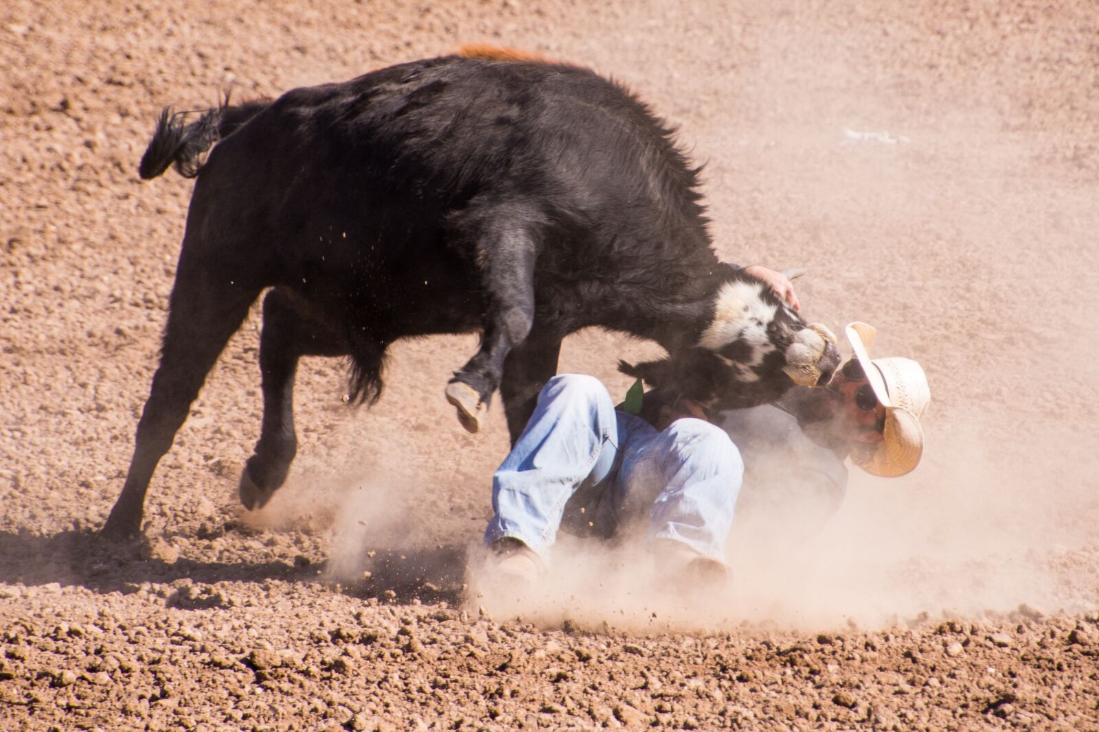 Nikon D7200 sample photo. Rodeo, cowboy, steer wrestling photography