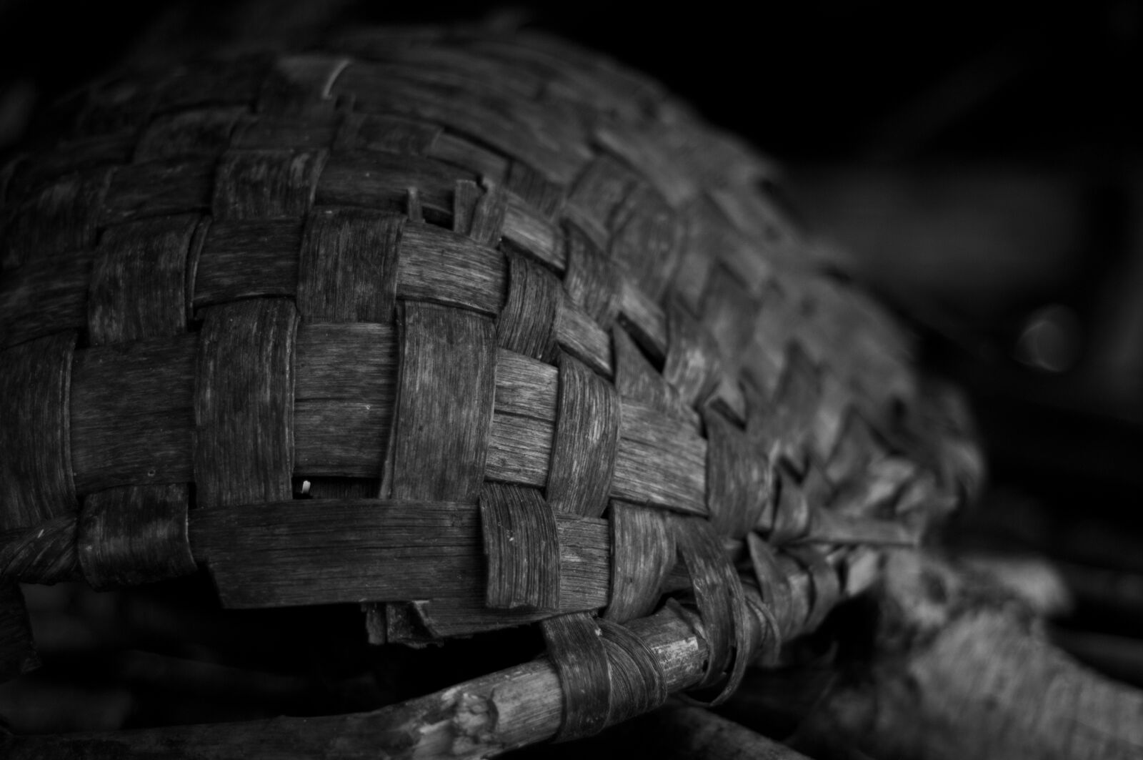 Nikon D300S sample photo. Black and white, basket photography