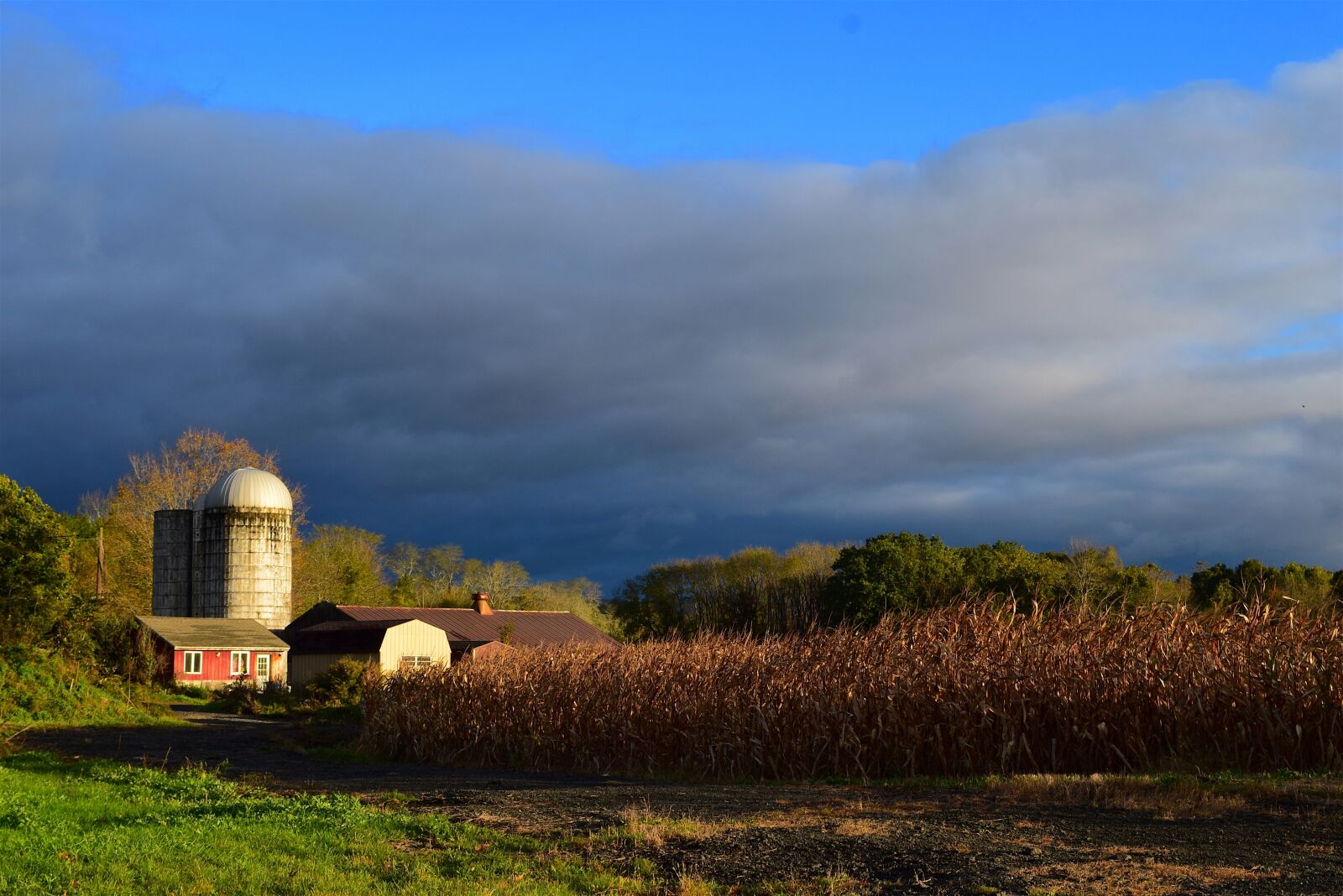 Nikon D3300 sample photo. Silo, farm, barn photography