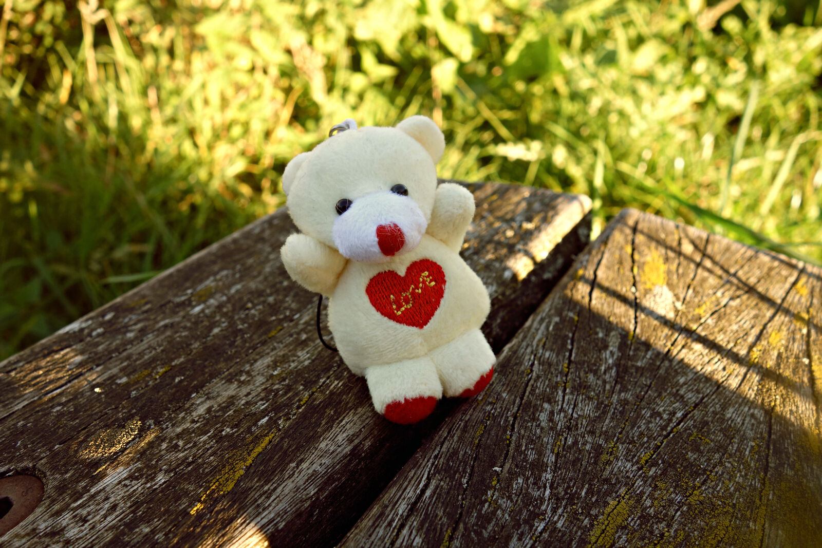 Sony Cyber-shot DSC-RX100 sample photo. Bear, cute, heart, key photography