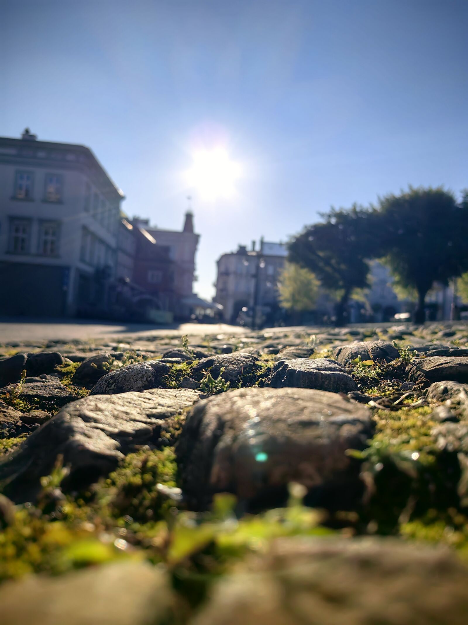 HUAWEI MATE 50 PRO sample photo