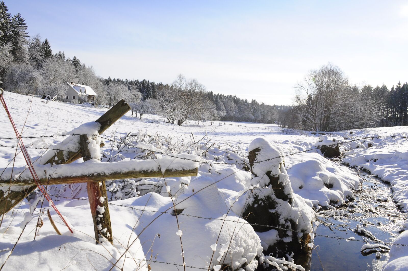 Nikon D90 sample photo. Snow landscape, forest, sun photography