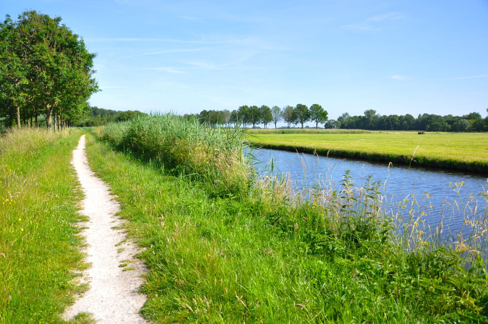 Nikon D90 sample photo. Water, path, track photography