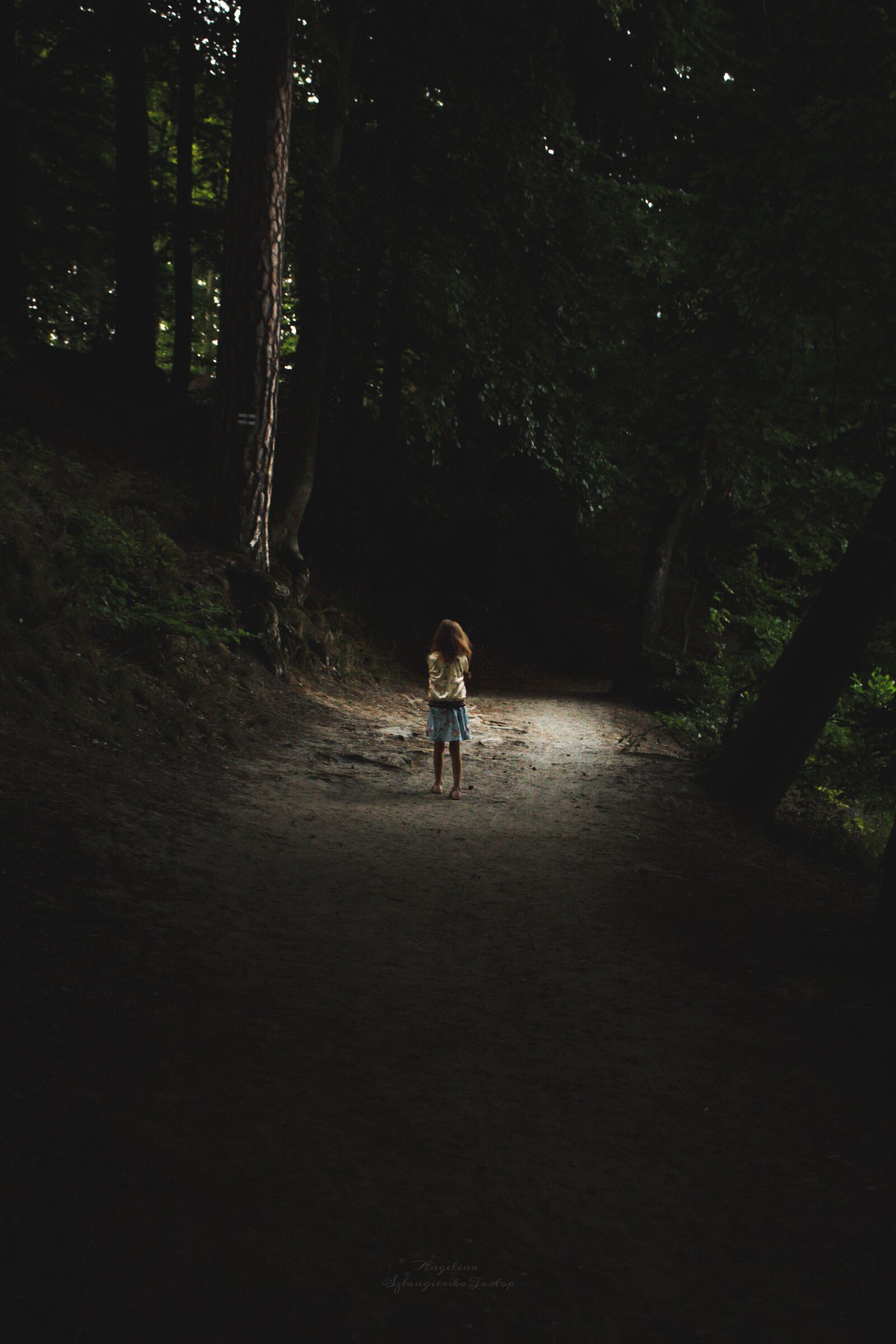 Canon EOS 700D (EOS Rebel T5i / EOS Kiss X7i) sample photo. Forest, child, alone photography