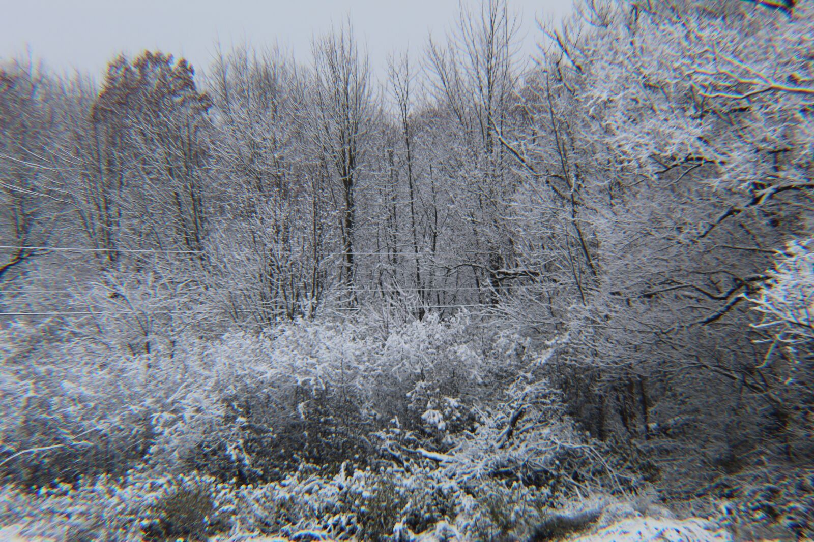 Canon EOS 1300D (EOS Rebel T6 / EOS Kiss X80) sample photo. Michigan winter, white, snow photography