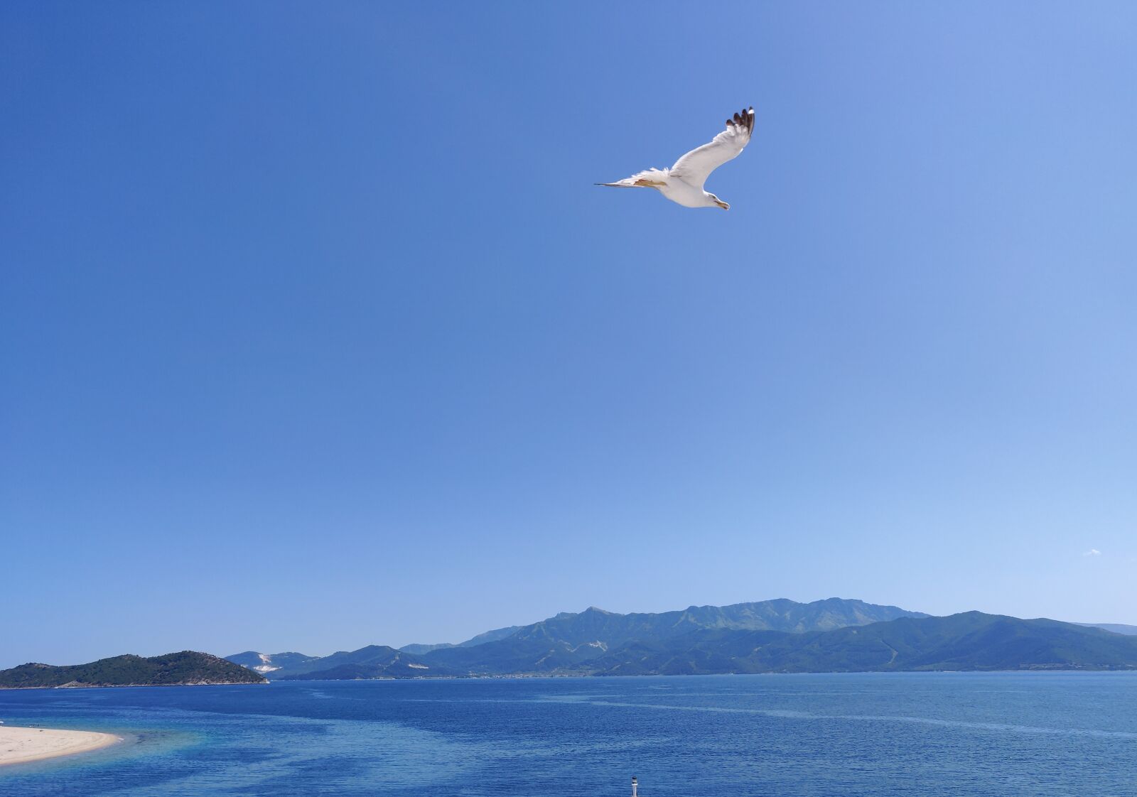 OnePlus A6000 sample photo. Island, sky, seagull photography