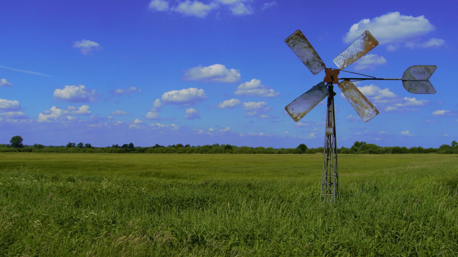 Panasonic Lumix DMC-GH2 sample photo. Pinwheel, lower saxony, wing photography