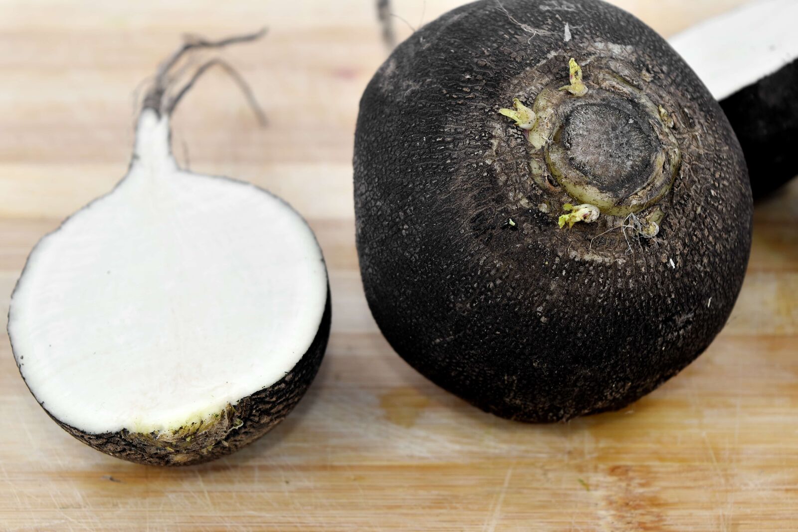 Nikon D5500 sample photo. Agriculture, black, radish, root photography