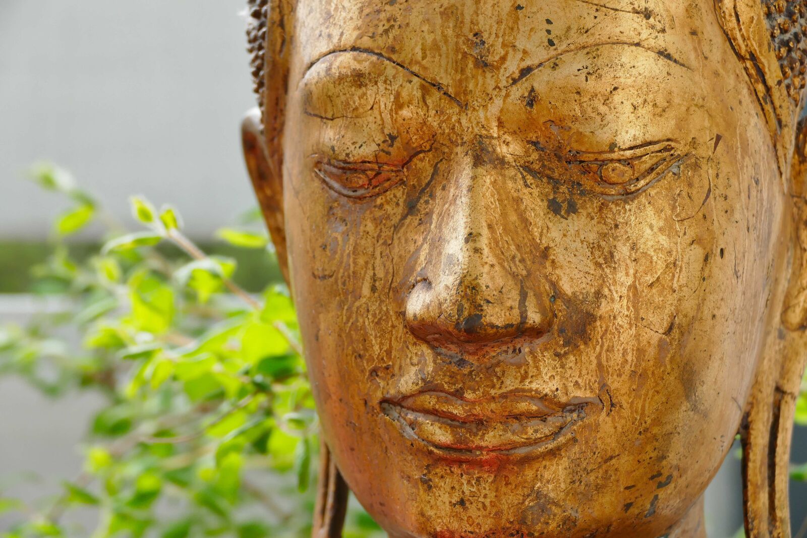 Panasonic Lumix DMC-FZ1000 sample photo. Buddha, buddhism, religion photography