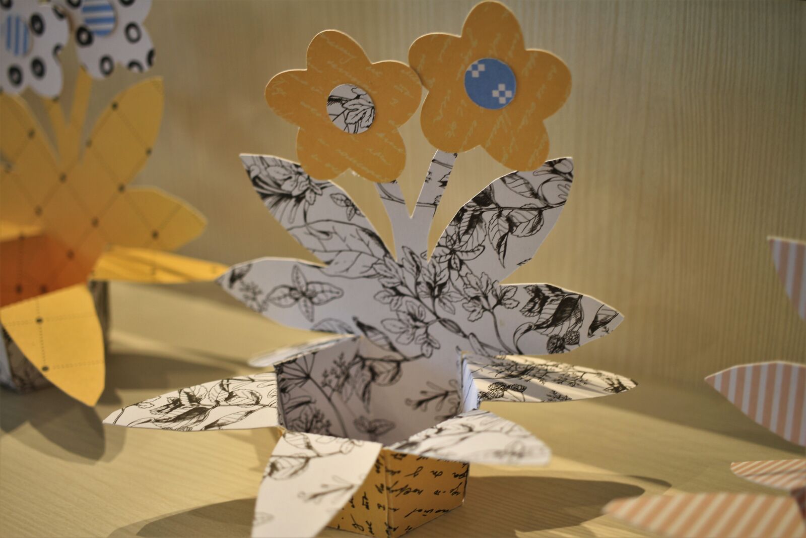 Canon EOS 7D sample photo. Egg cups, paper, plotter photography