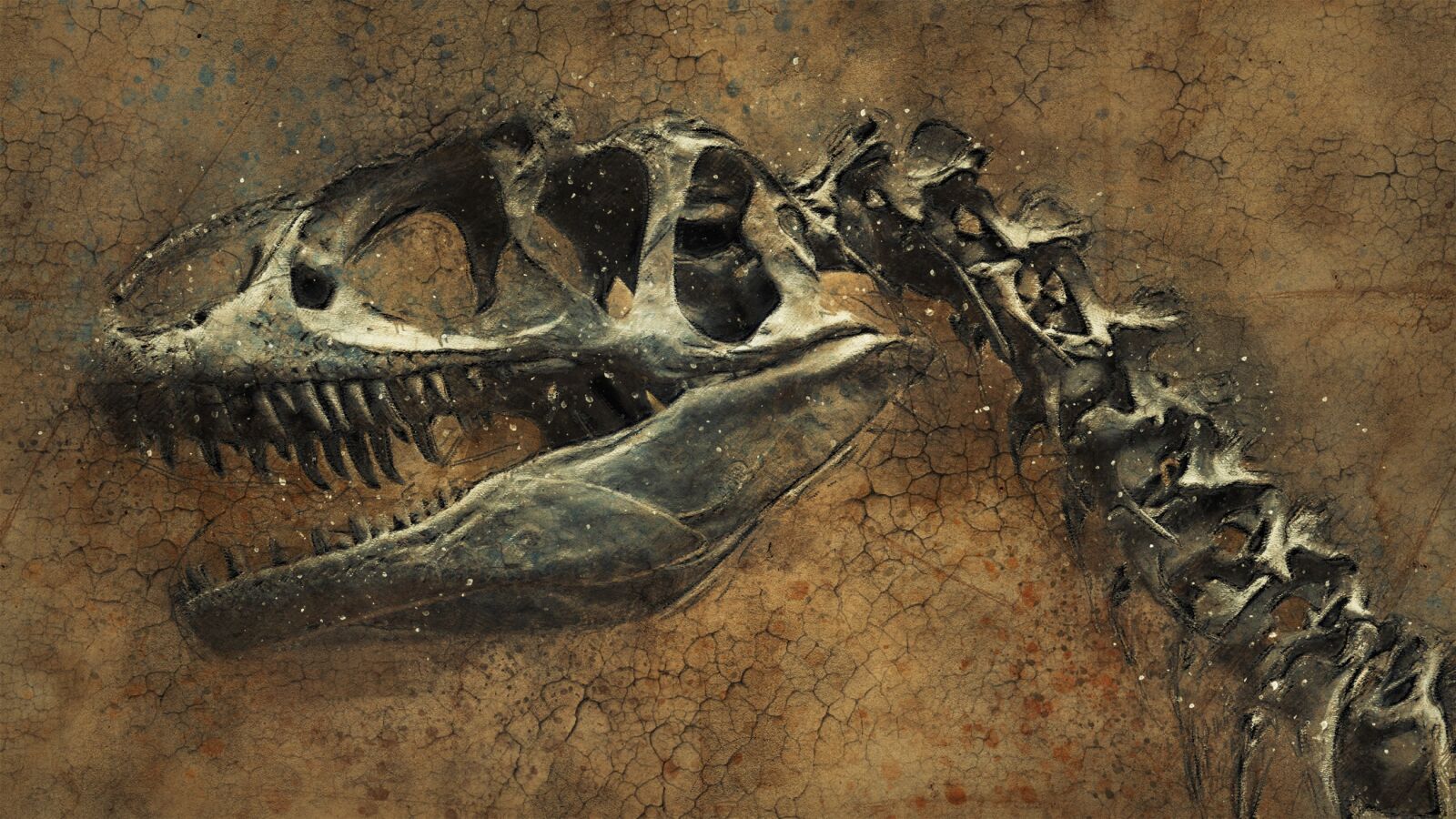 Panasonic DMC-FZ62 sample photo. Dinosaur, skeleton, background photography