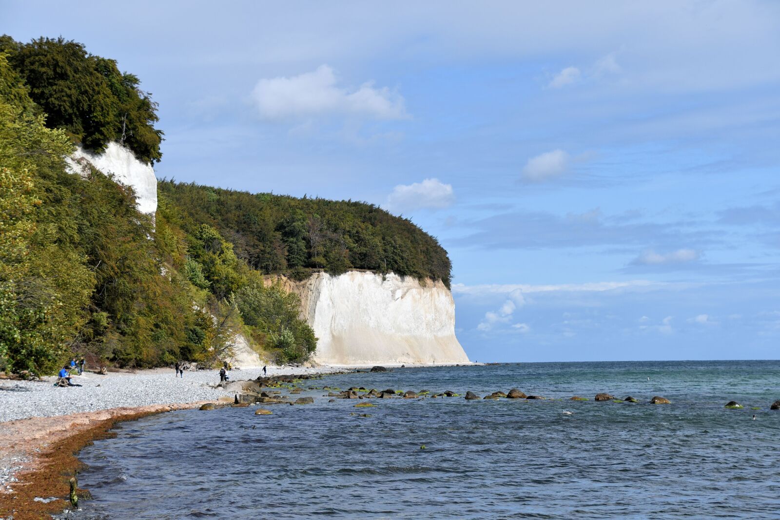 Nikon D500 sample photo. White cliffs, r gen photography