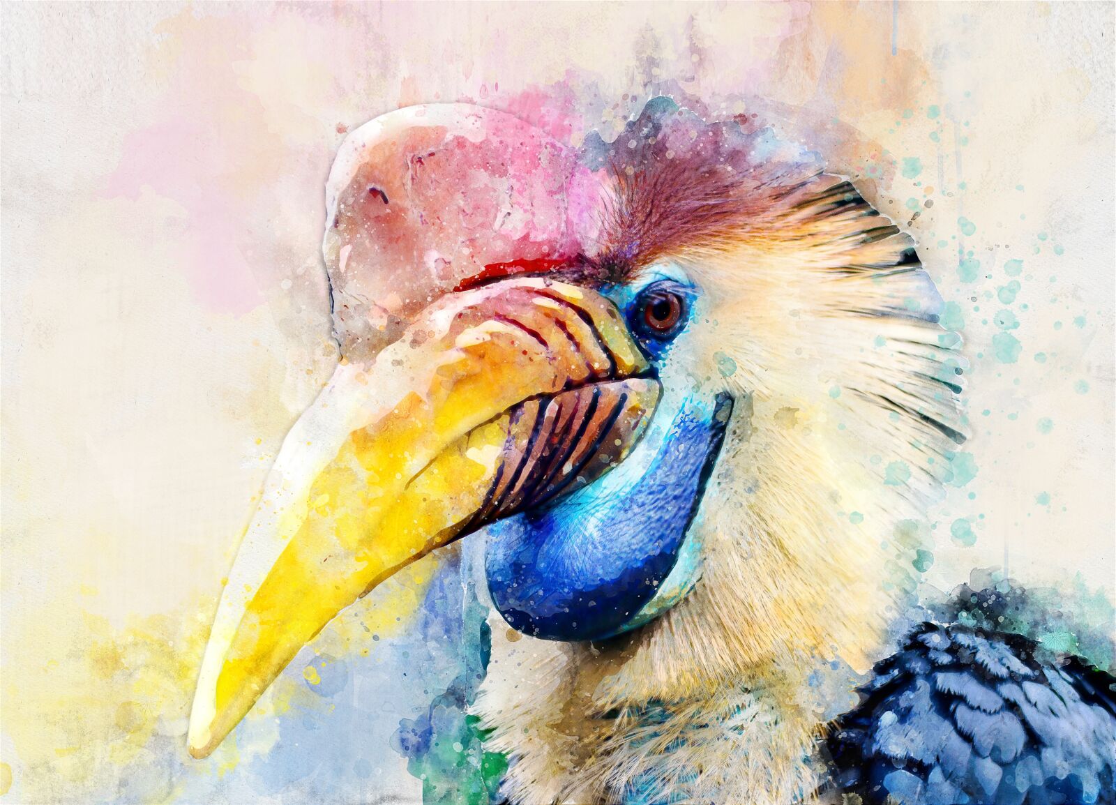 Canon EOS 60D sample photo. Bird, exotic, picture photography