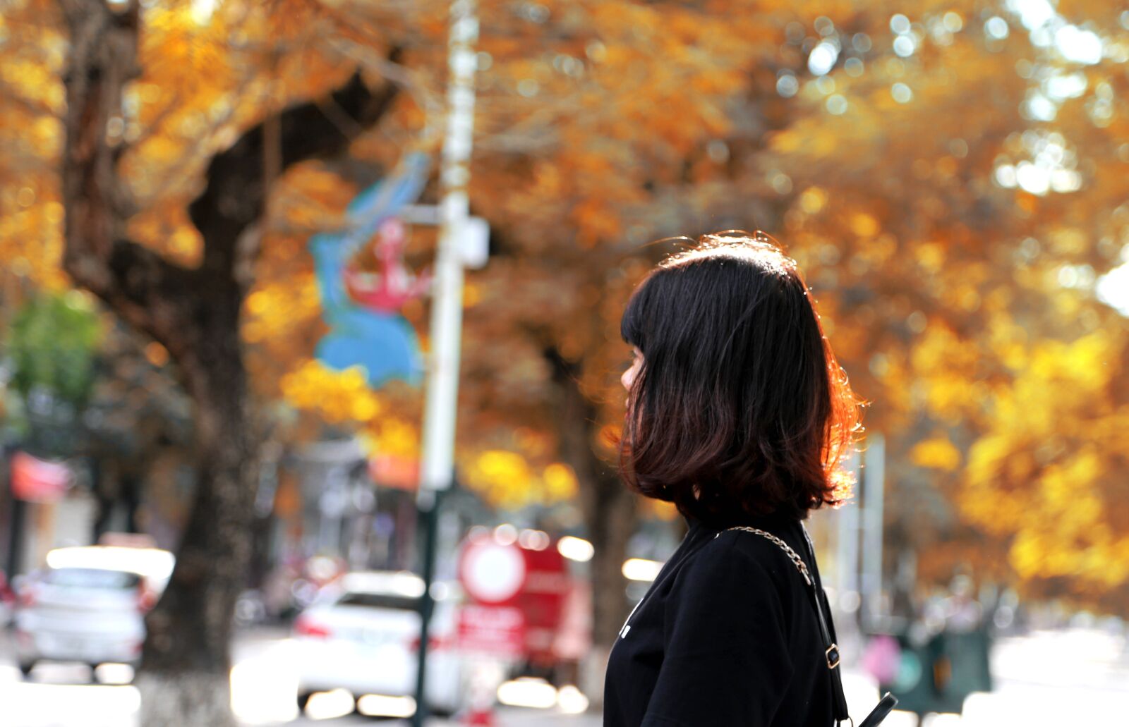 Canon EOS 6D + Canon EF 24-105mm F4L IS USM sample photo. Girl, beautiful, be photography