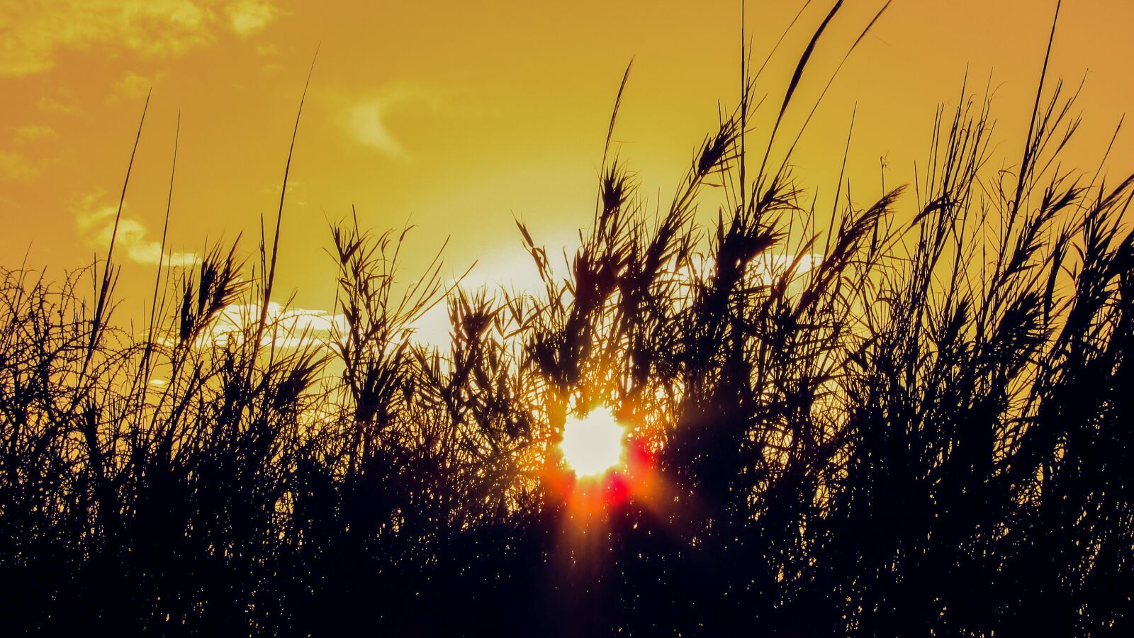Canon PowerShot SX400 IS sample photo. Sunset, sun, sunlight photography
