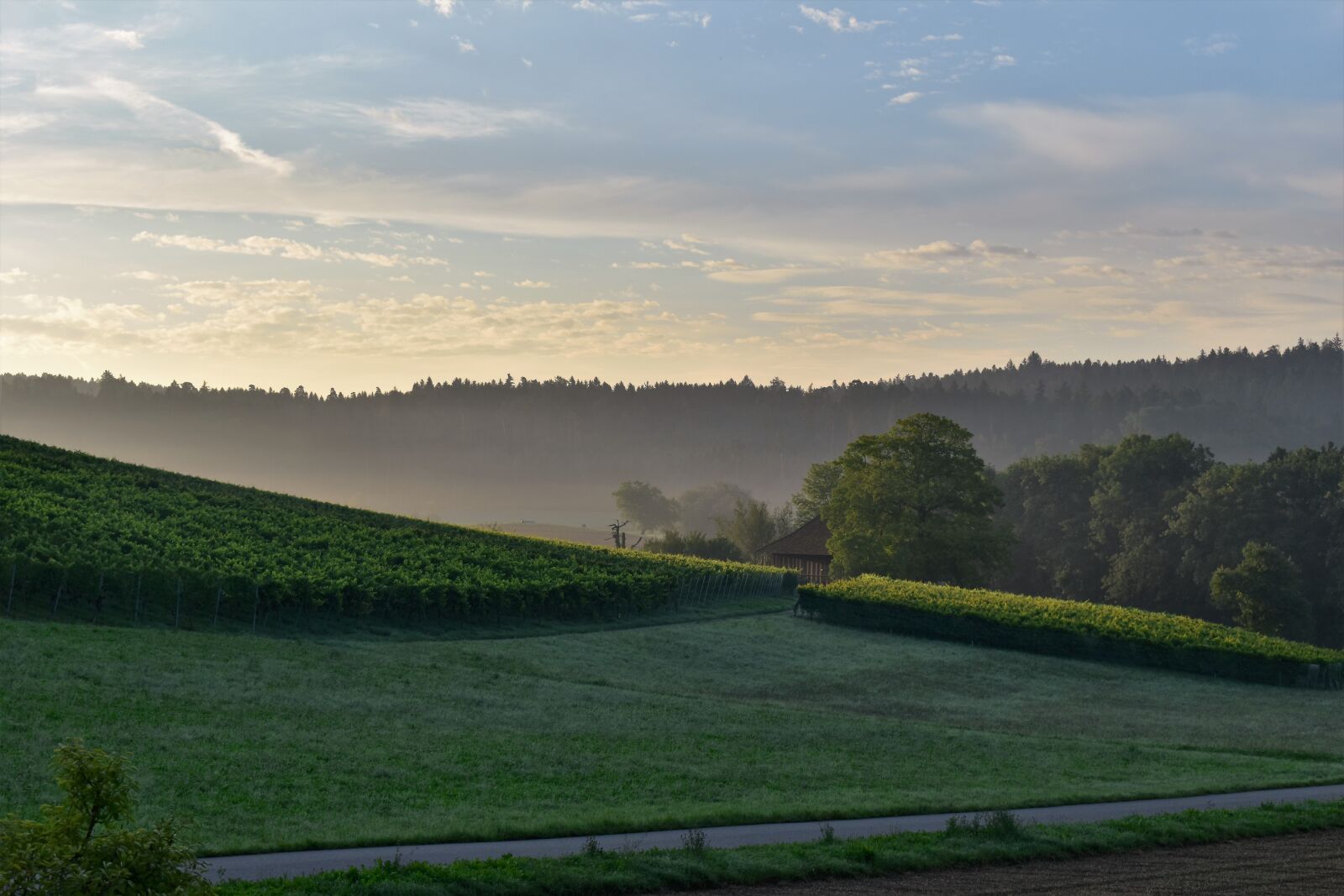 Nikon D5500 sample photo. Landscape, view, sunrise photography