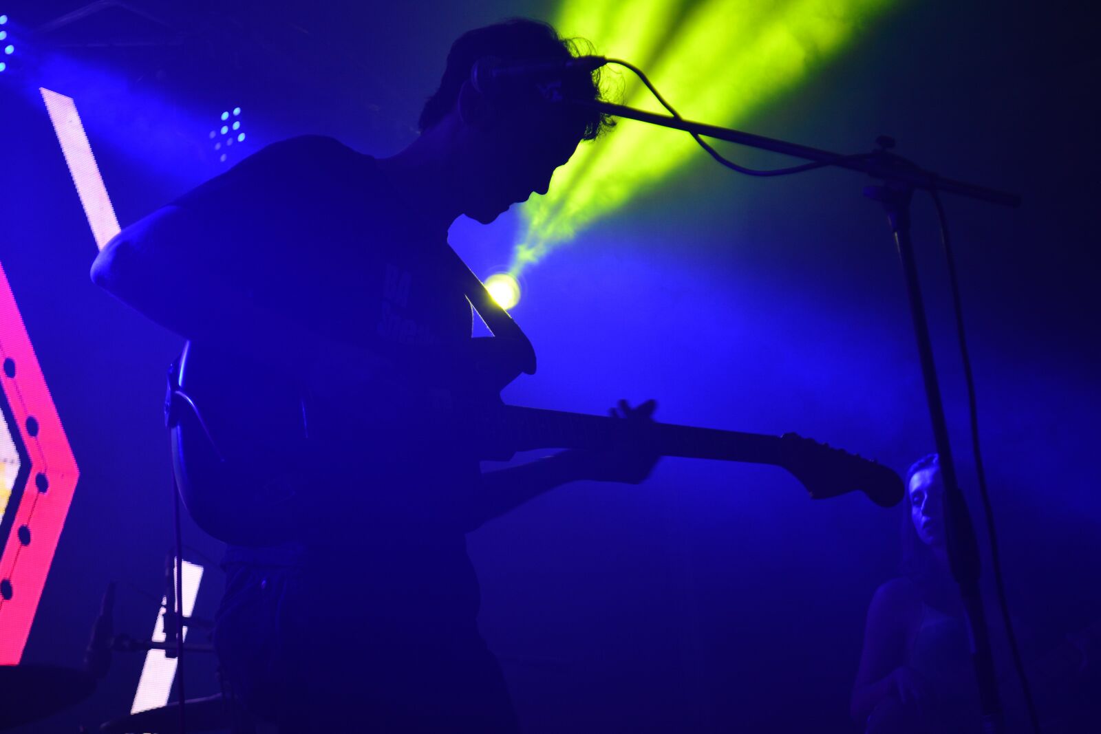 Nikon D5200 sample photo. Music, scenario, entertainment photography