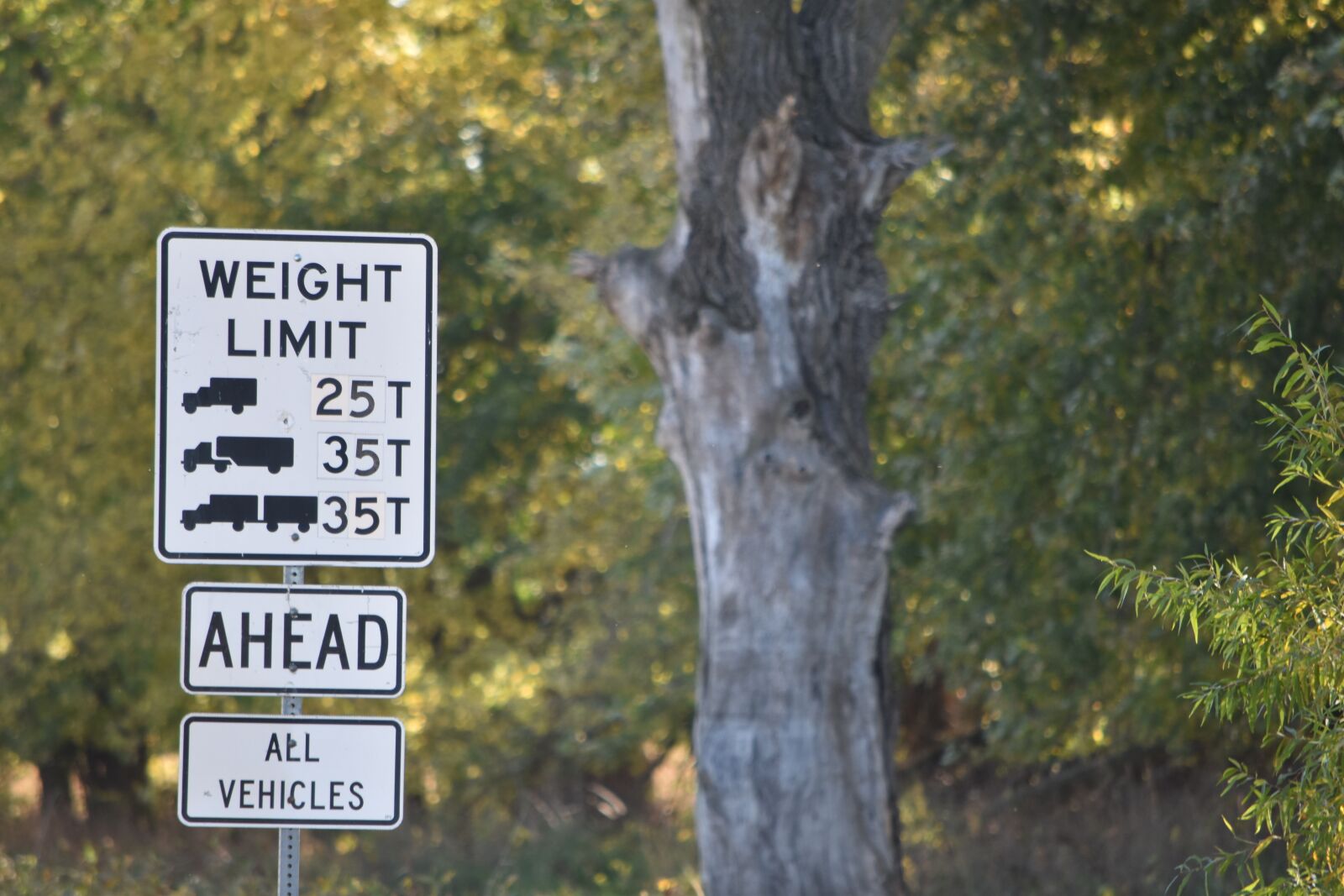 Nikon D5500 sample photo. Sign, weight limit, road photography